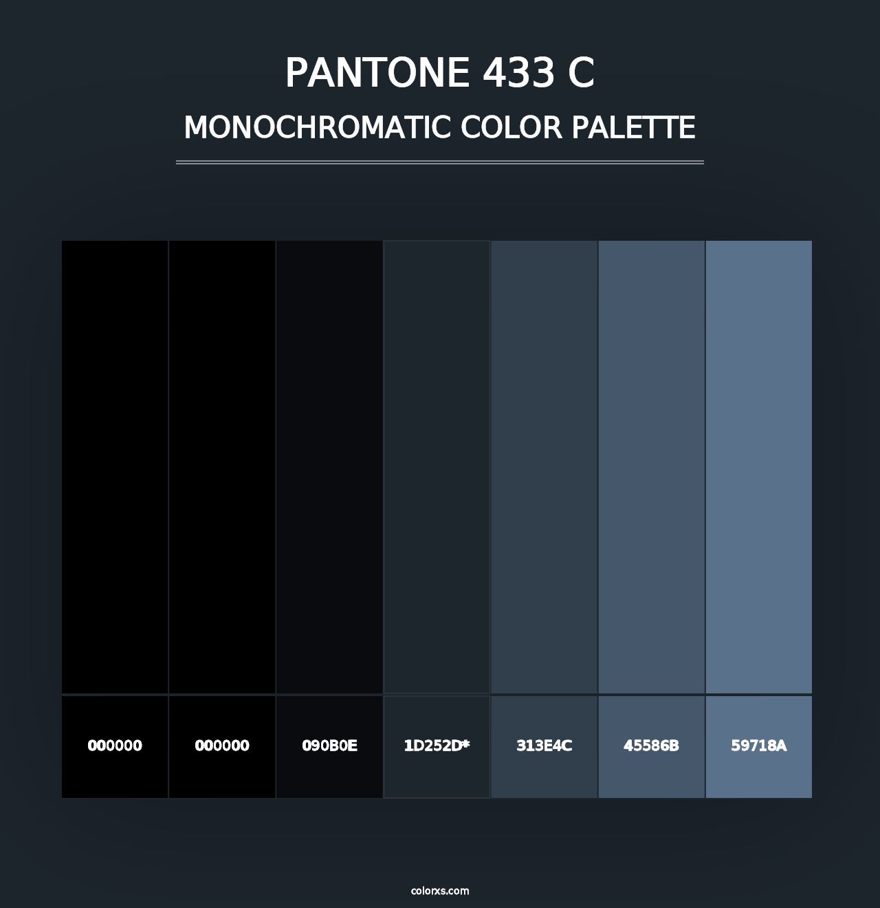 PANTONE 433 C - Monochromatic Color Palette