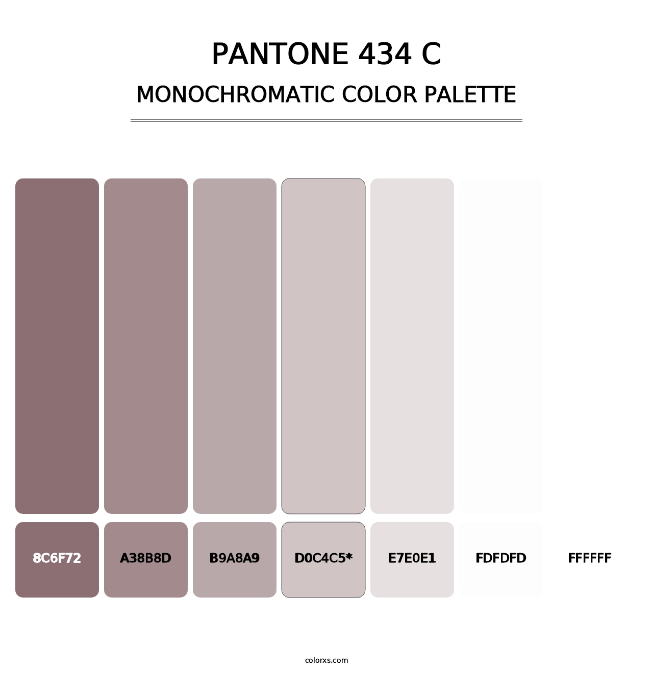 PANTONE 434 C - Monochromatic Color Palette