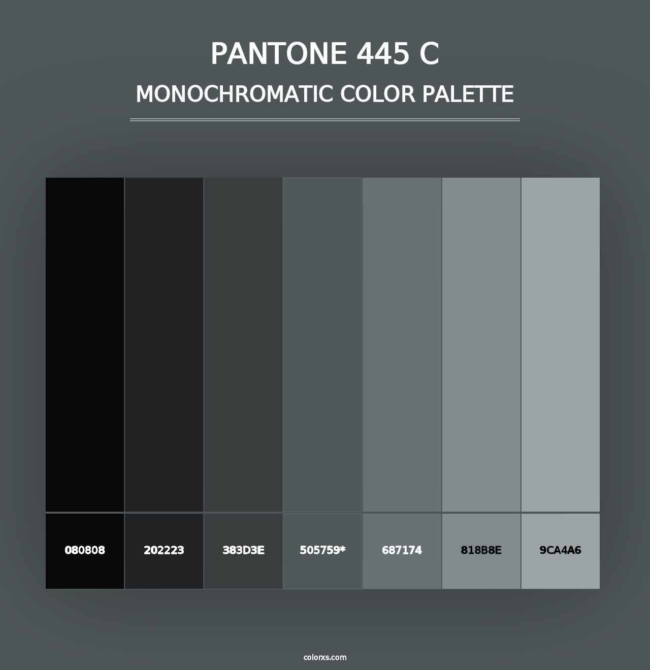 PANTONE 445 C - Monochromatic Color Palette