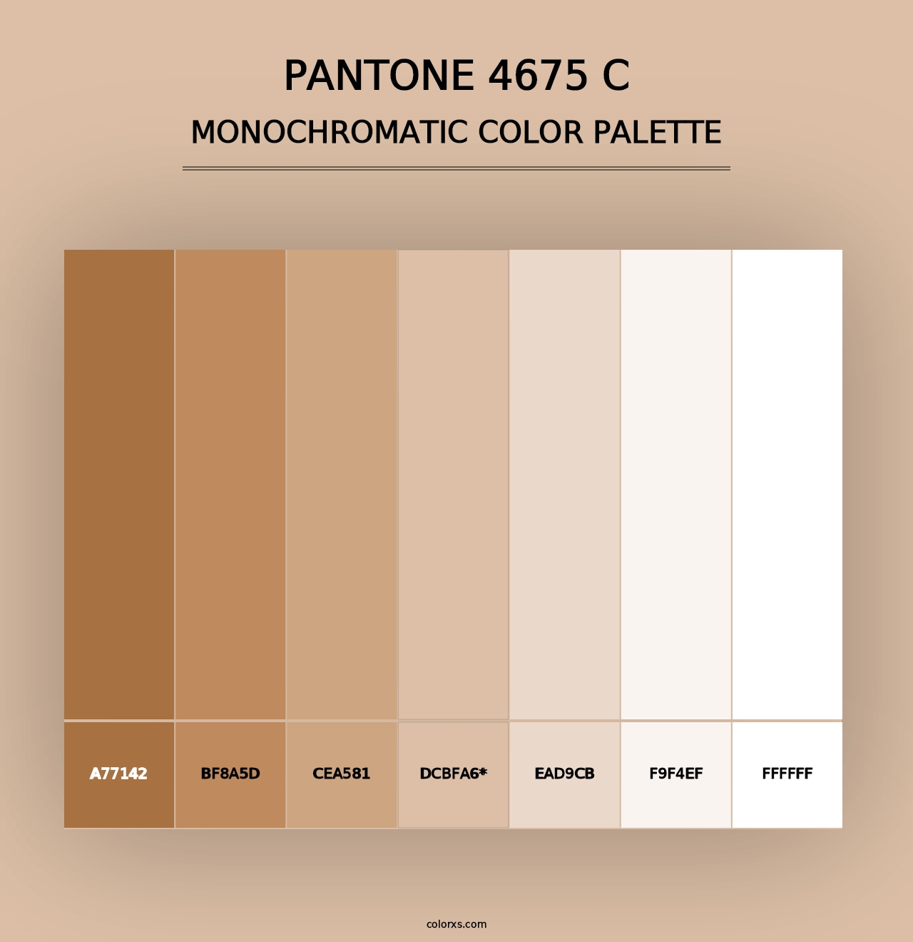 PANTONE 4675 C - Monochromatic Color Palette