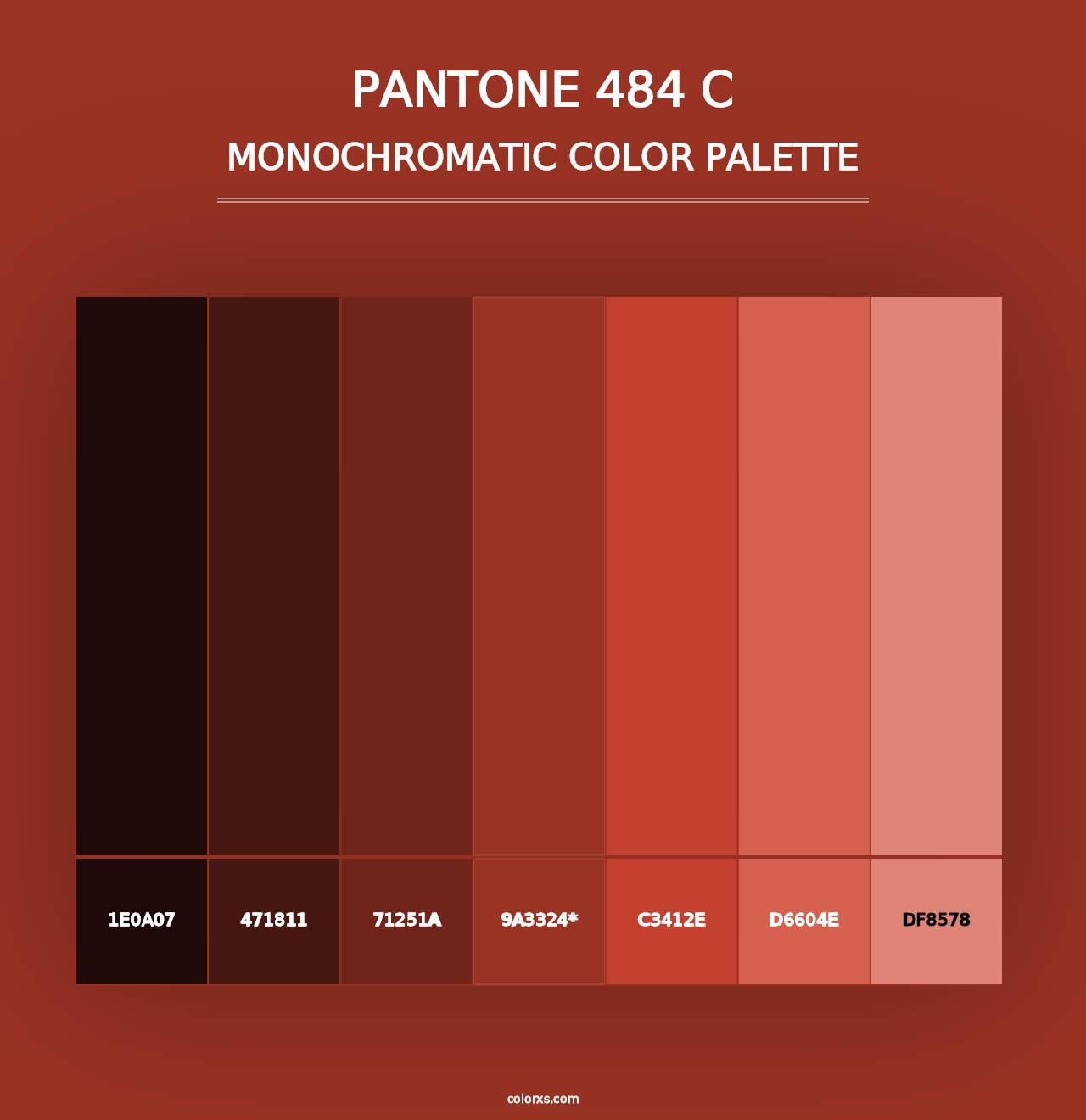 PANTONE 484 C - Monochromatic Color Palette