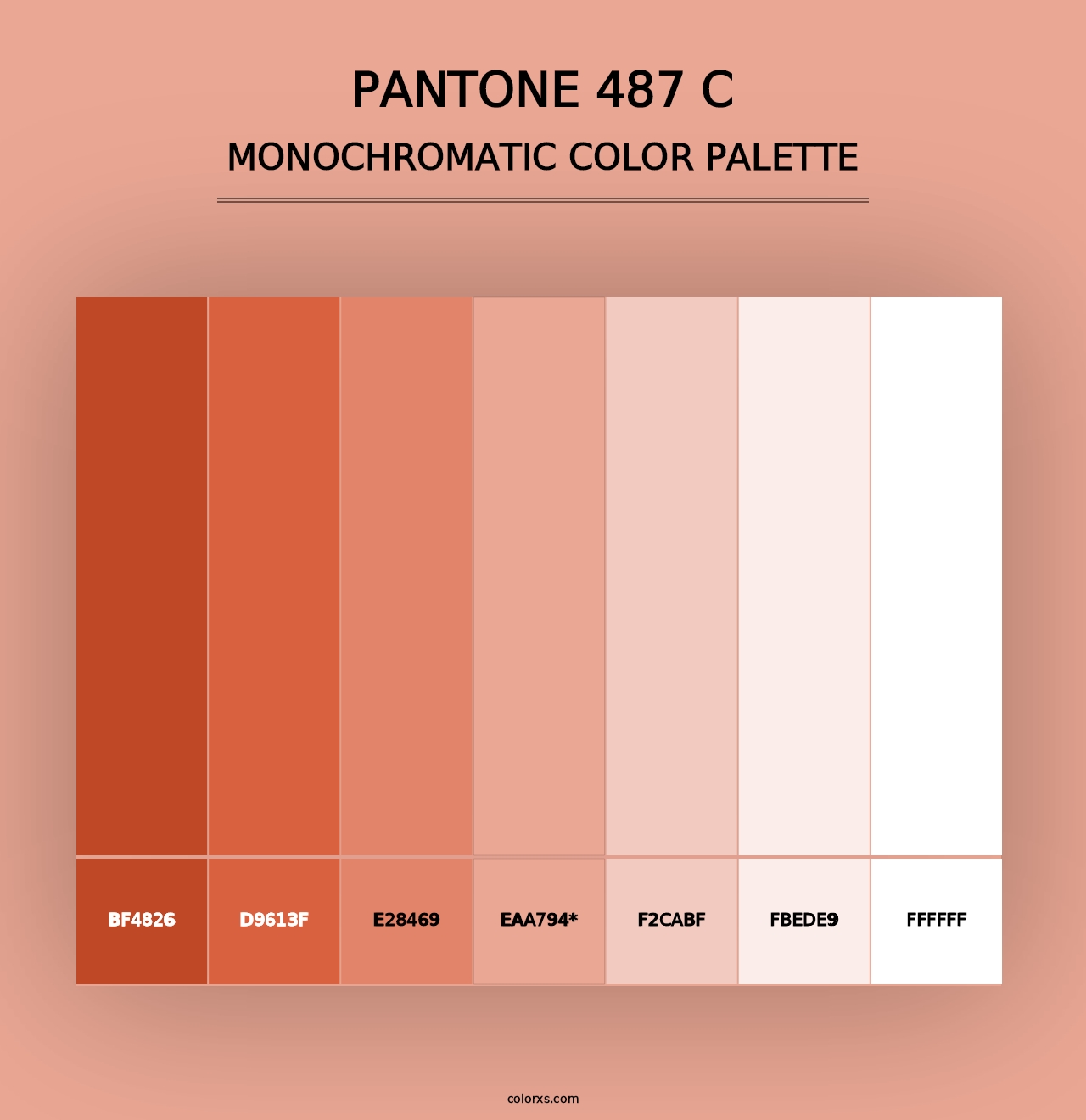 PANTONE 487 C - Monochromatic Color Palette