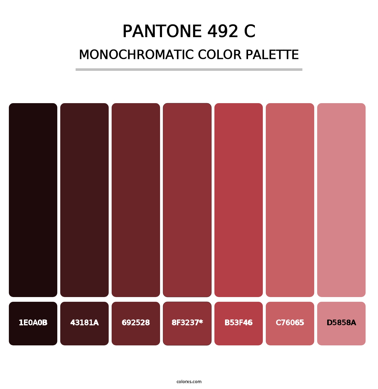 PANTONE 492 C - Monochromatic Color Palette