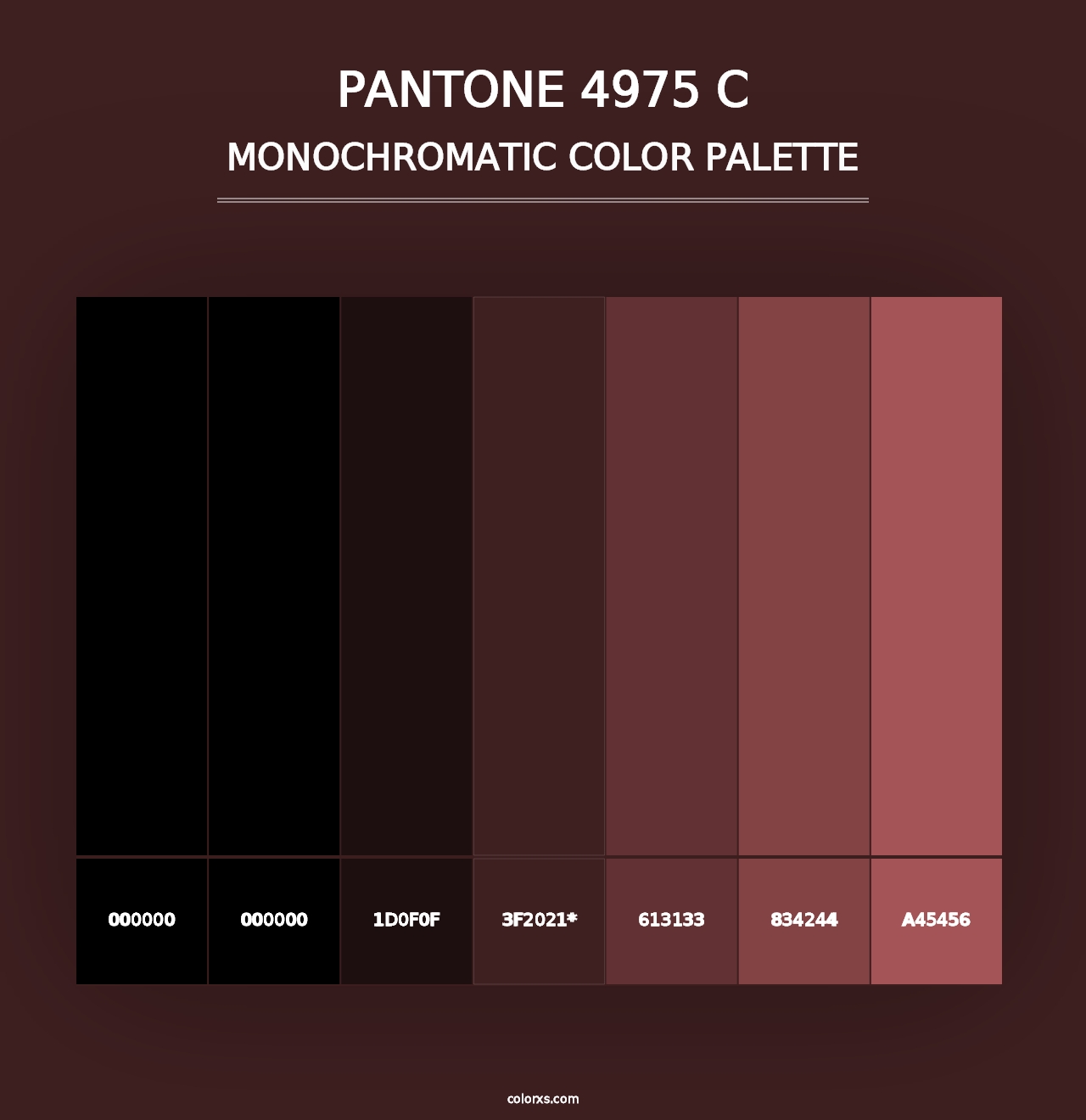 PANTONE 4975 C - Monochromatic Color Palette