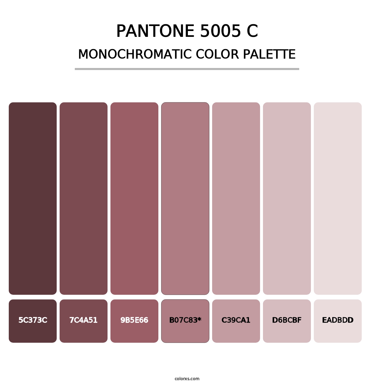 PANTONE 5005 C - Monochromatic Color Palette