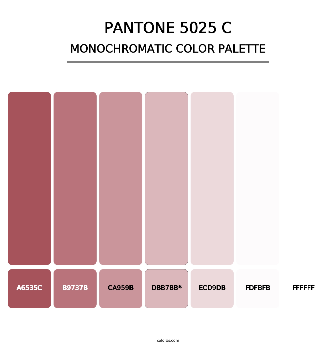 PANTONE 5025 C - Monochromatic Color Palette