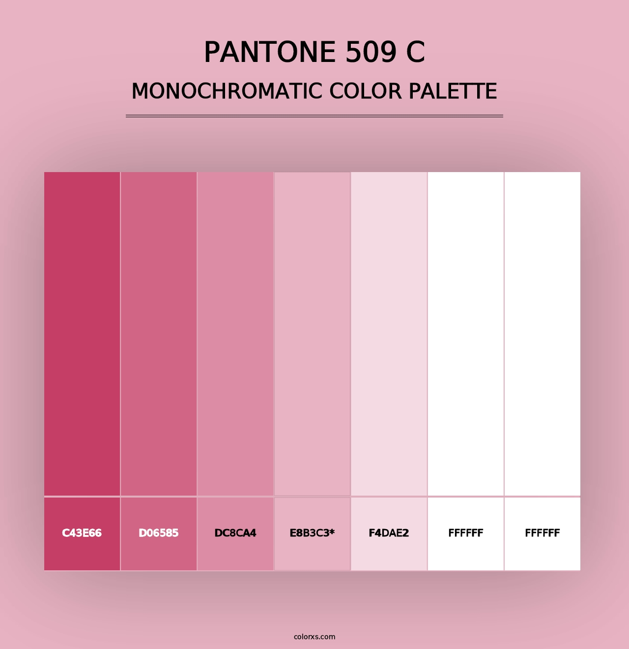 PANTONE 509 C - Monochromatic Color Palette