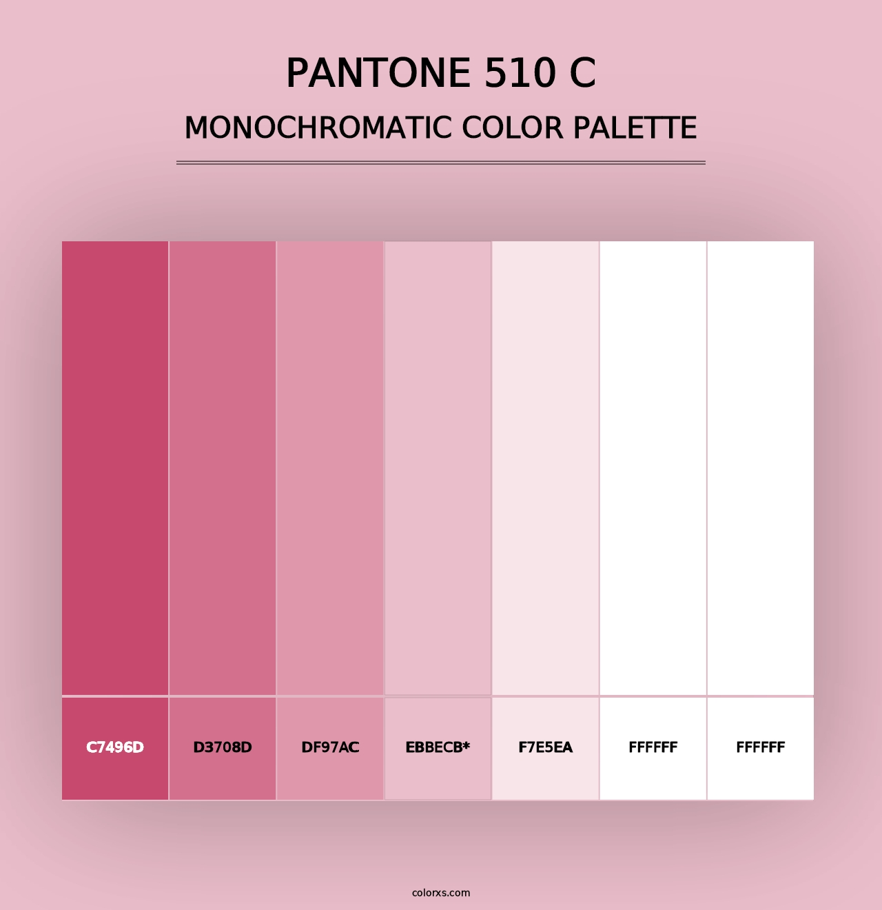 PANTONE 510 C - Monochromatic Color Palette