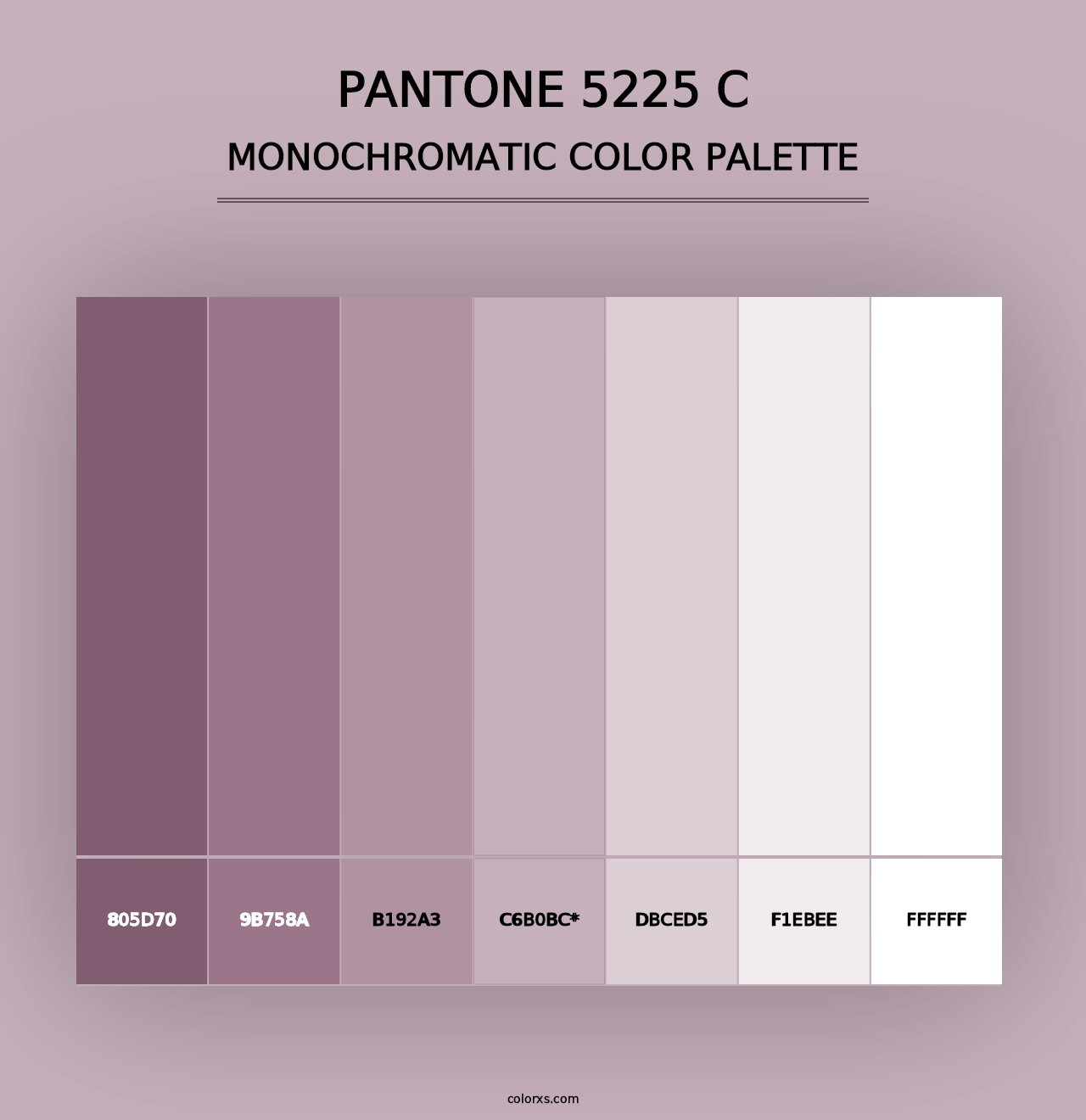 PANTONE 5225 C - Monochromatic Color Palette