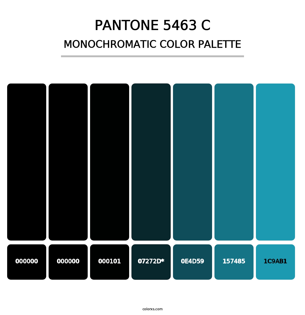 PANTONE 5463 C - Monochromatic Color Palette