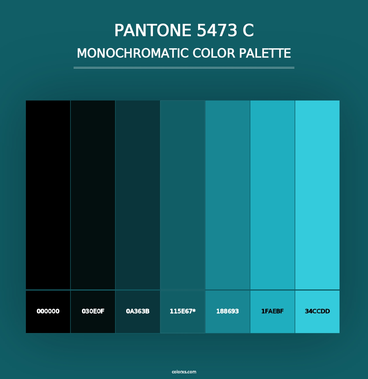 PANTONE 5473 C - Monochromatic Color Palette