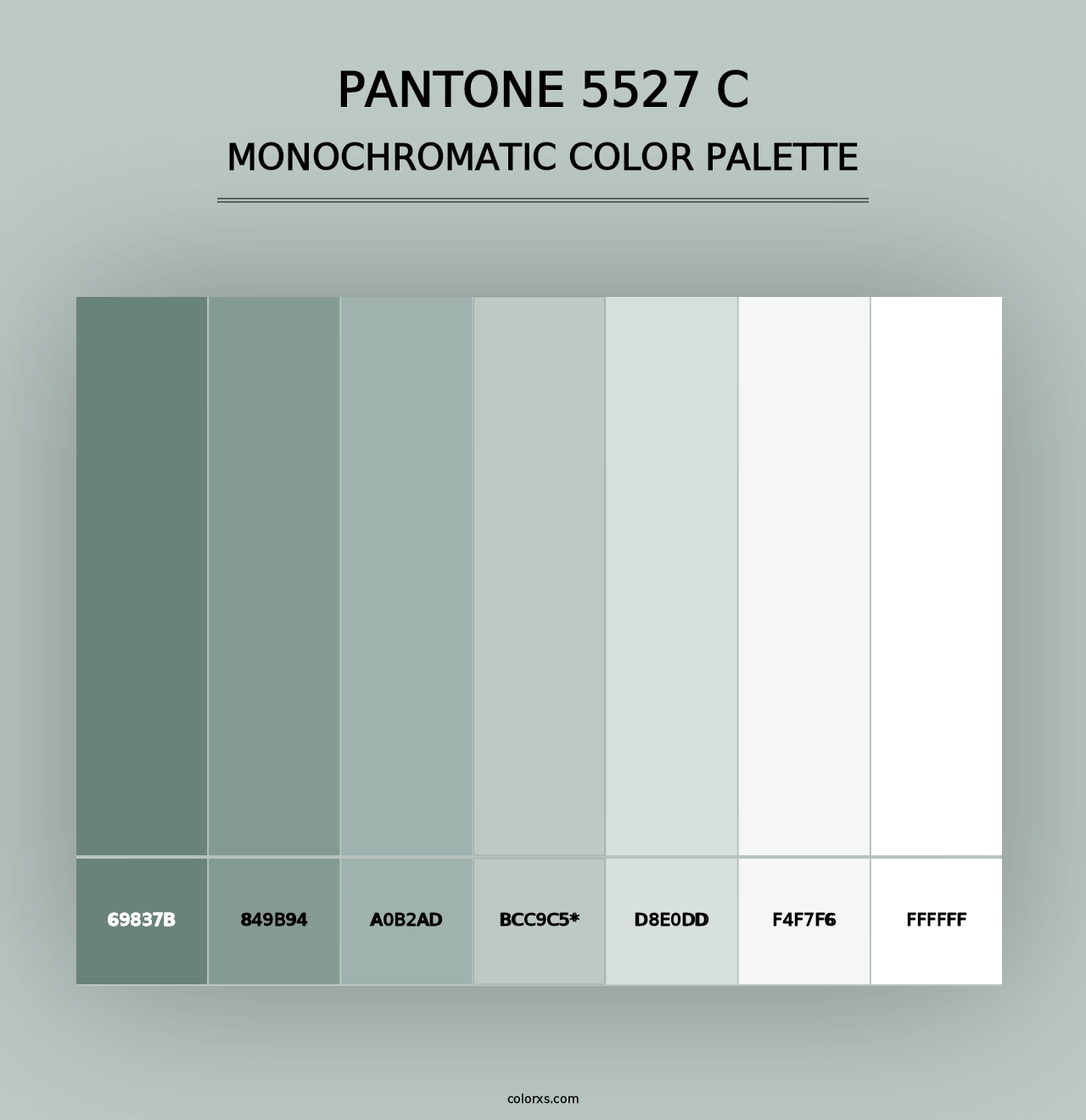 PANTONE 5527 C - Monochromatic Color Palette