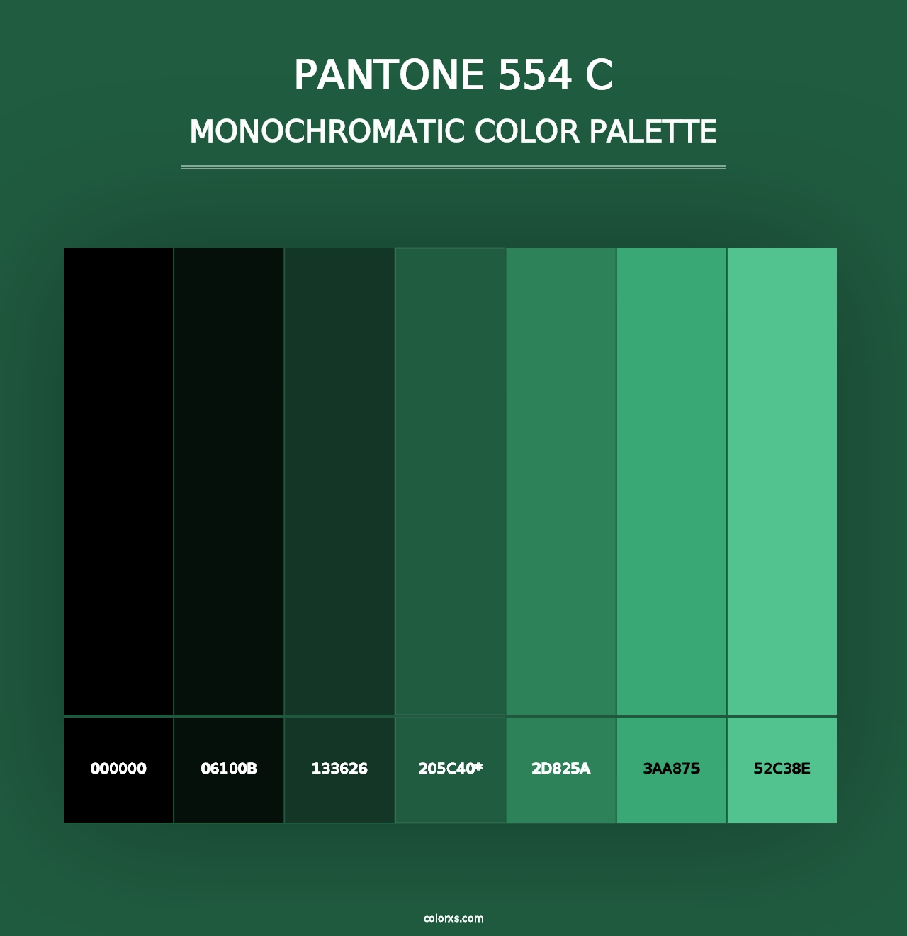 PANTONE 554 C - Monochromatic Color Palette