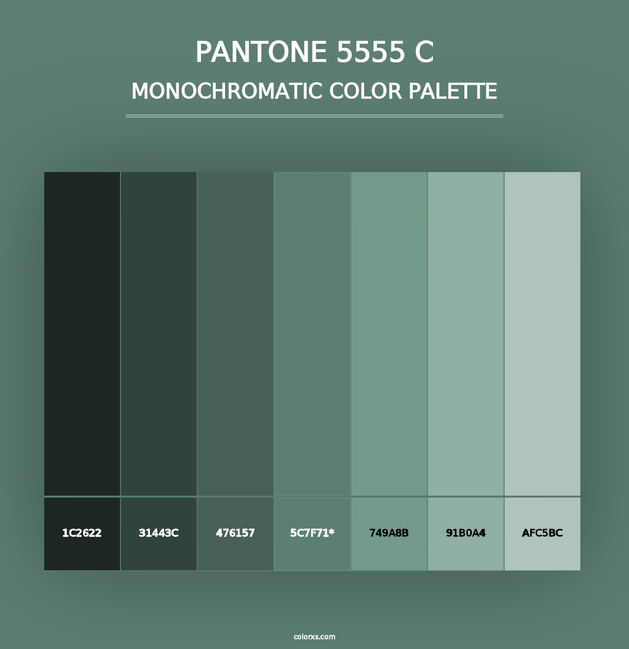 PANTONE 5555 C - Monochromatic Color Palette