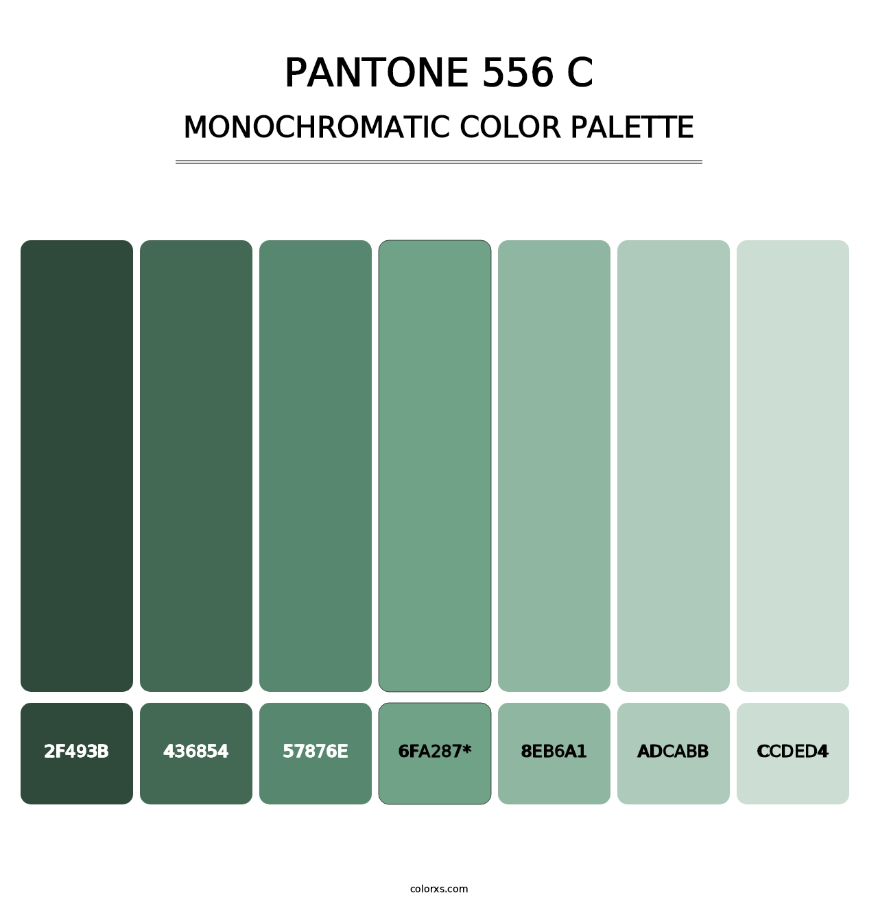 PANTONE 556 C - Monochromatic Color Palette