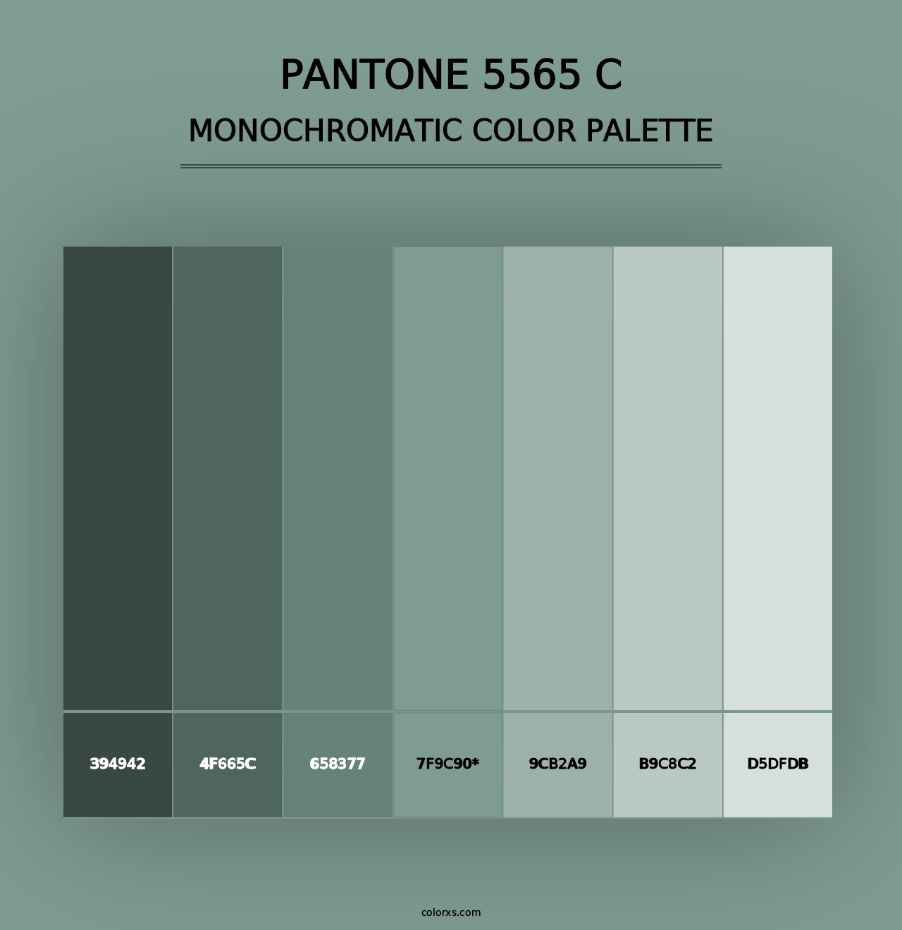 PANTONE 5565 C - Monochromatic Color Palette