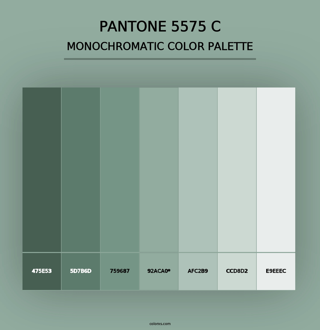 PANTONE 5575 C - Monochromatic Color Palette