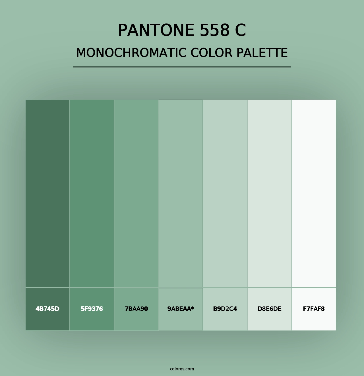 PANTONE 558 C - Monochromatic Color Palette