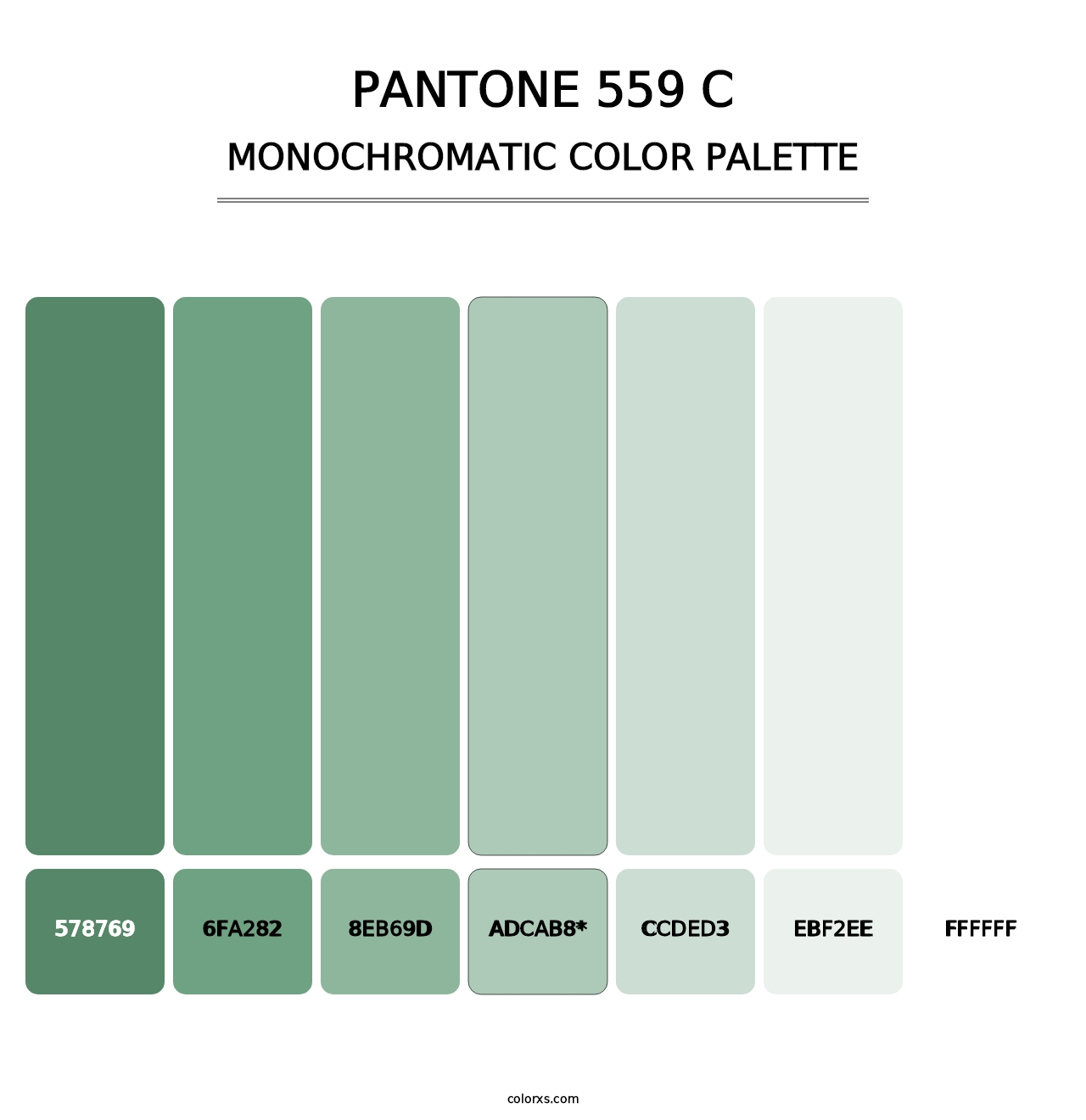 PANTONE 559 C - Monochromatic Color Palette