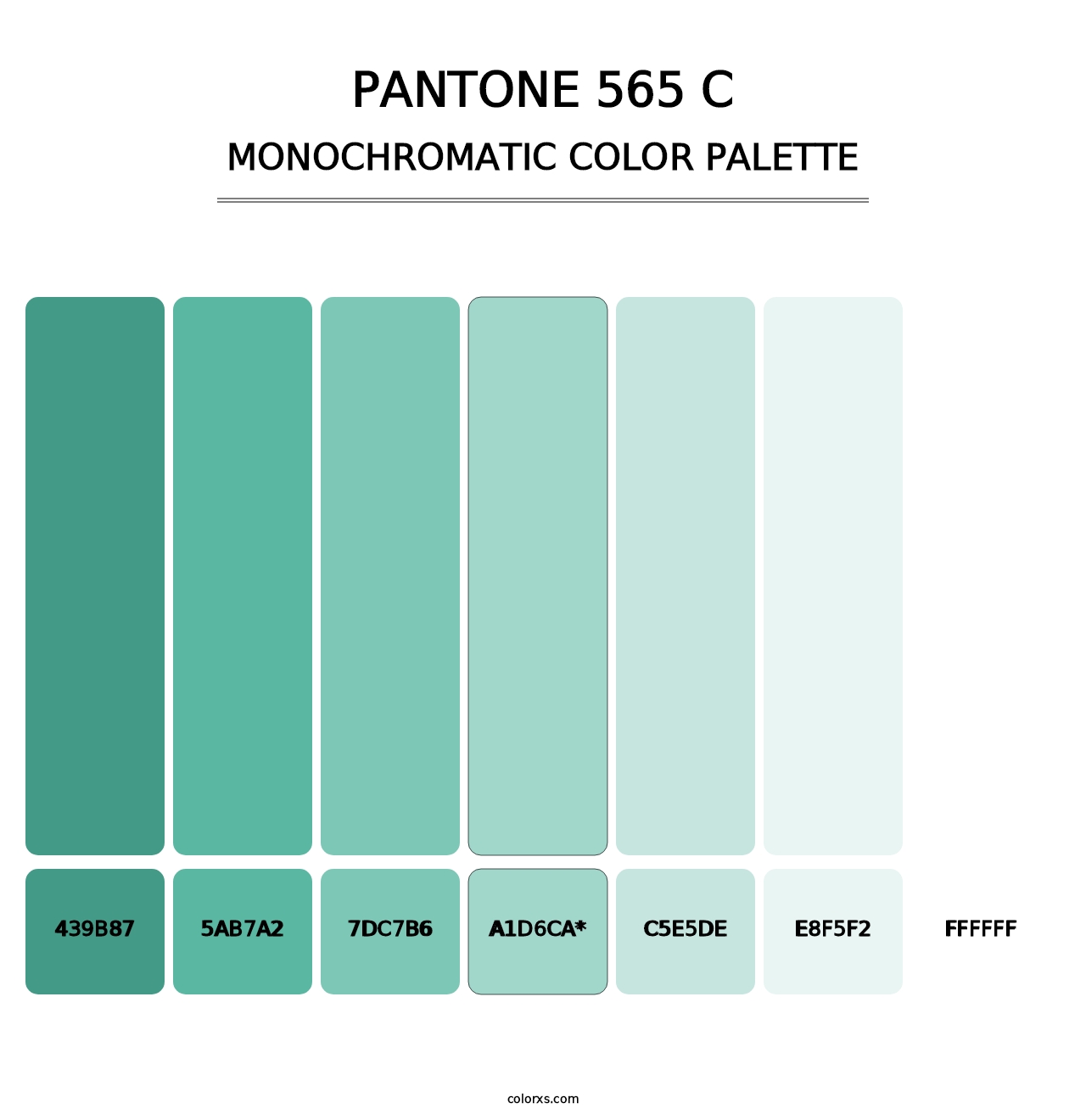 PANTONE 565 C - Monochromatic Color Palette