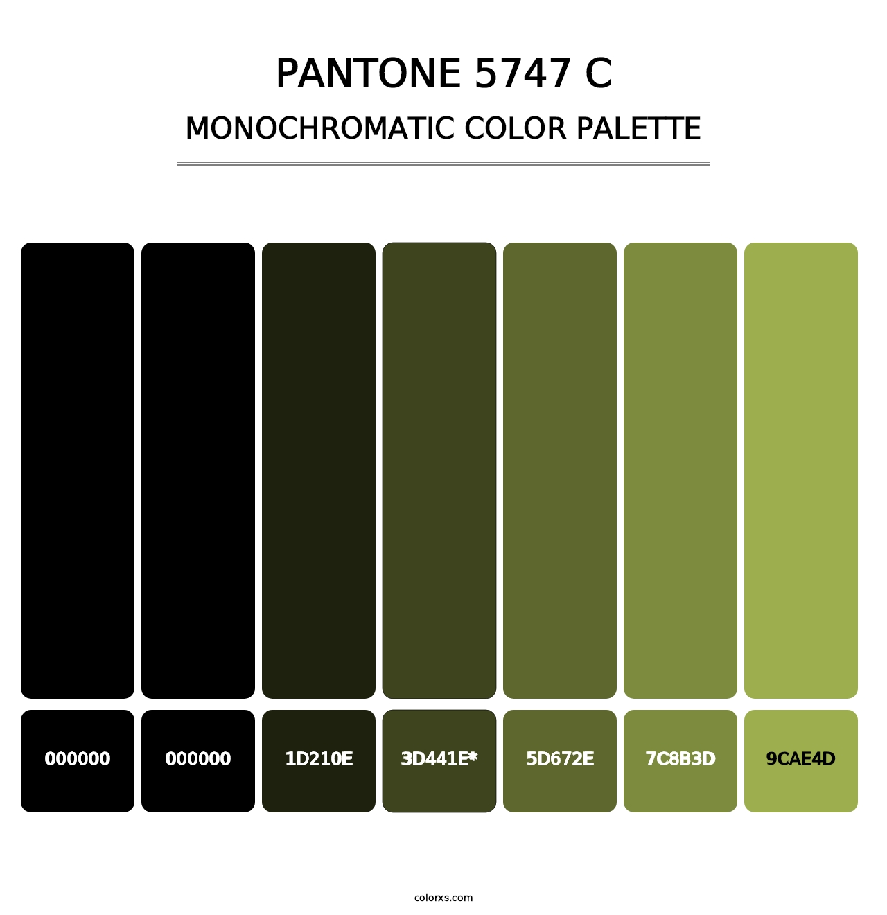 PANTONE 5747 C - Monochromatic Color Palette