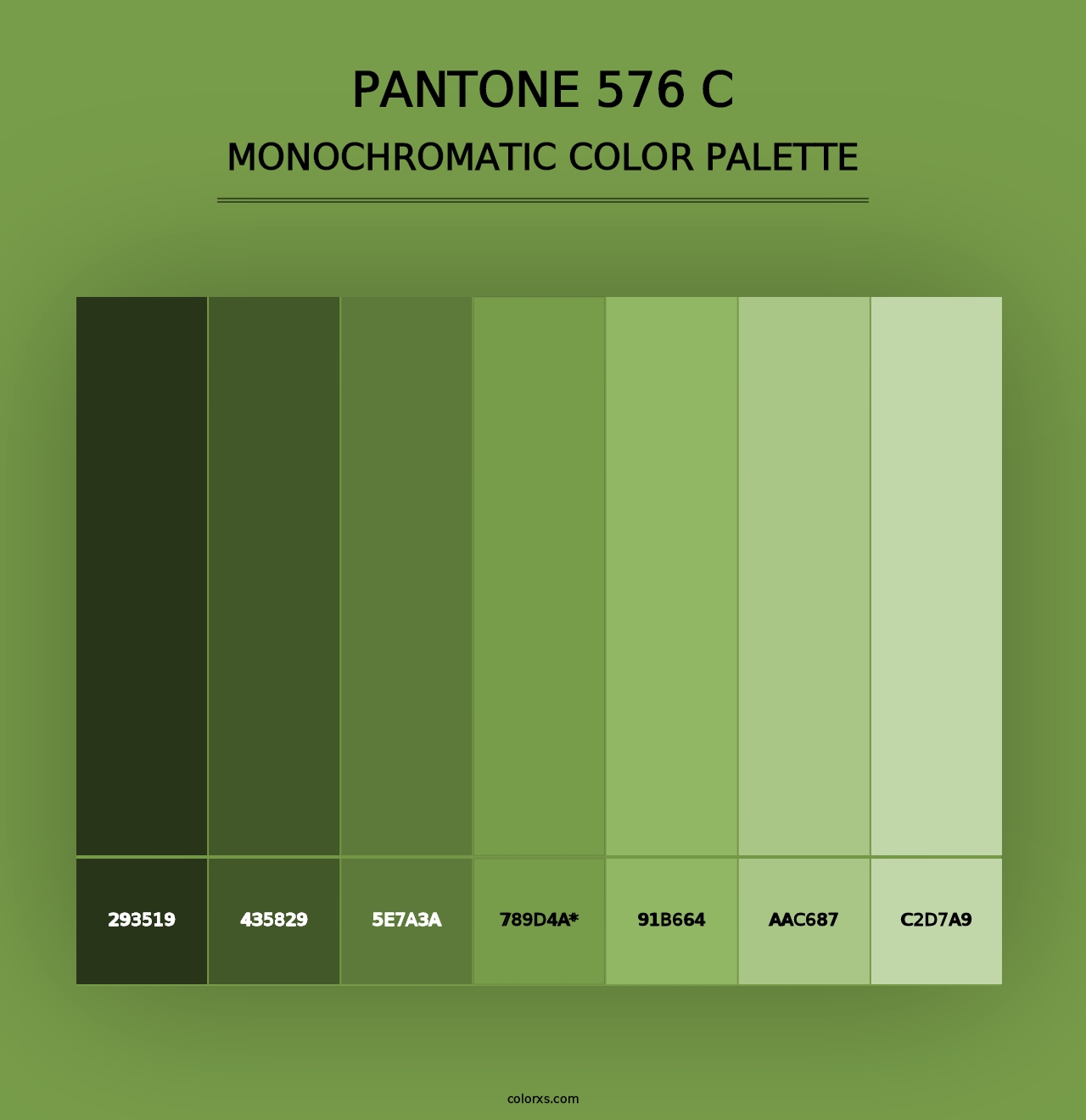 PANTONE 576 C - Monochromatic Color Palette