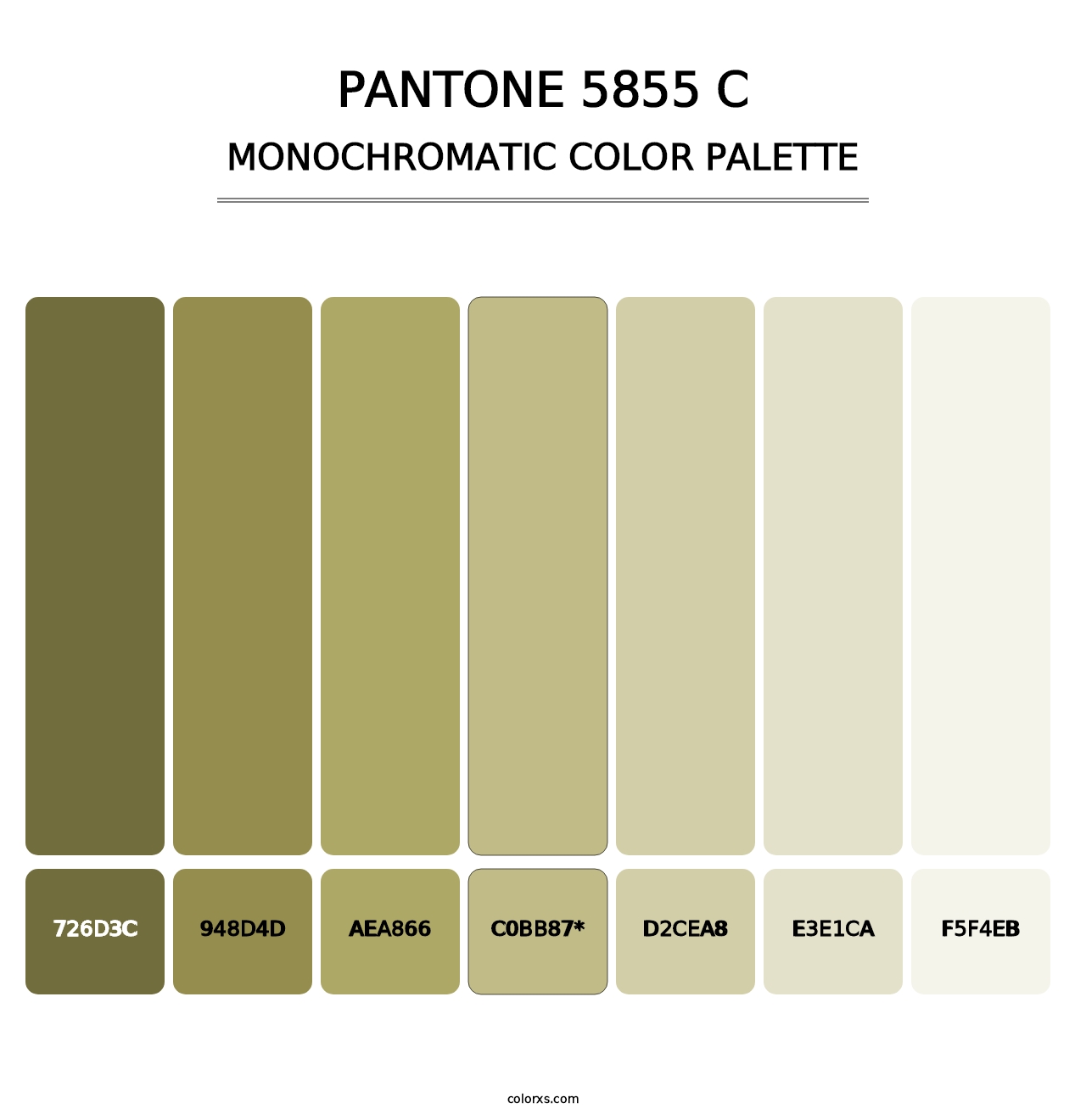 PANTONE 5855 C - Monochromatic Color Palette