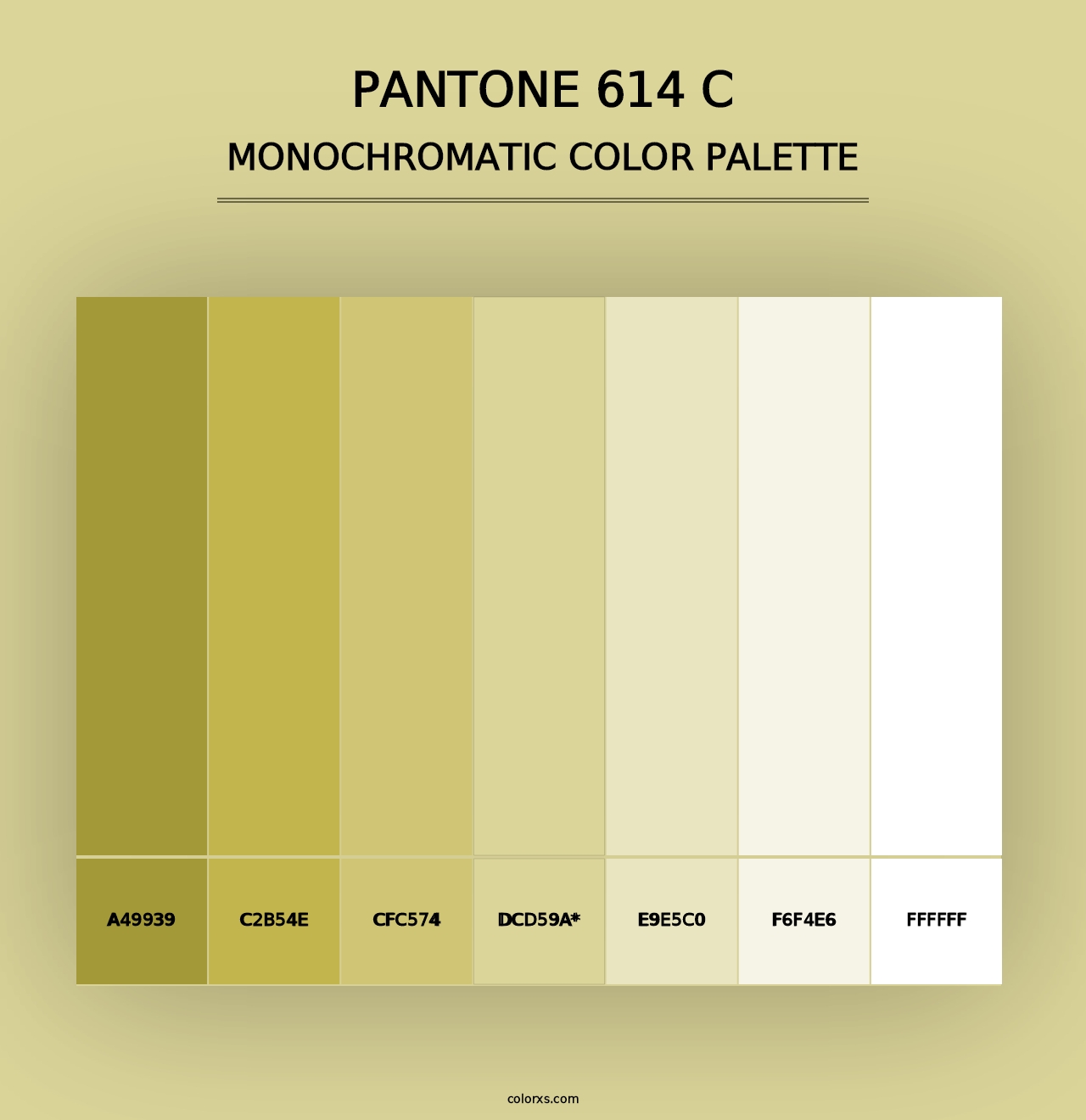 PANTONE 614 C - Monochromatic Color Palette