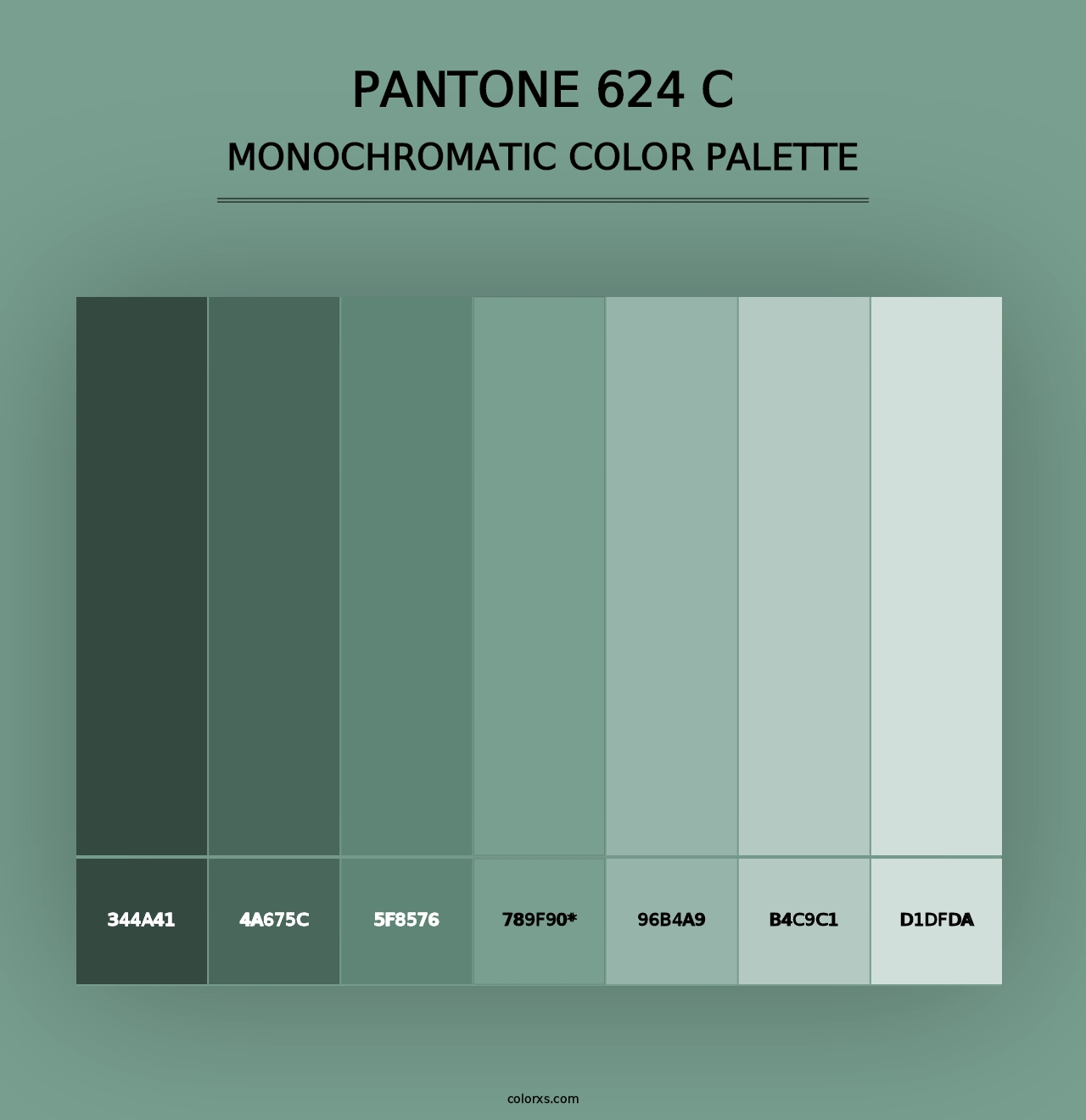 PANTONE 624 C - Monochromatic Color Palette