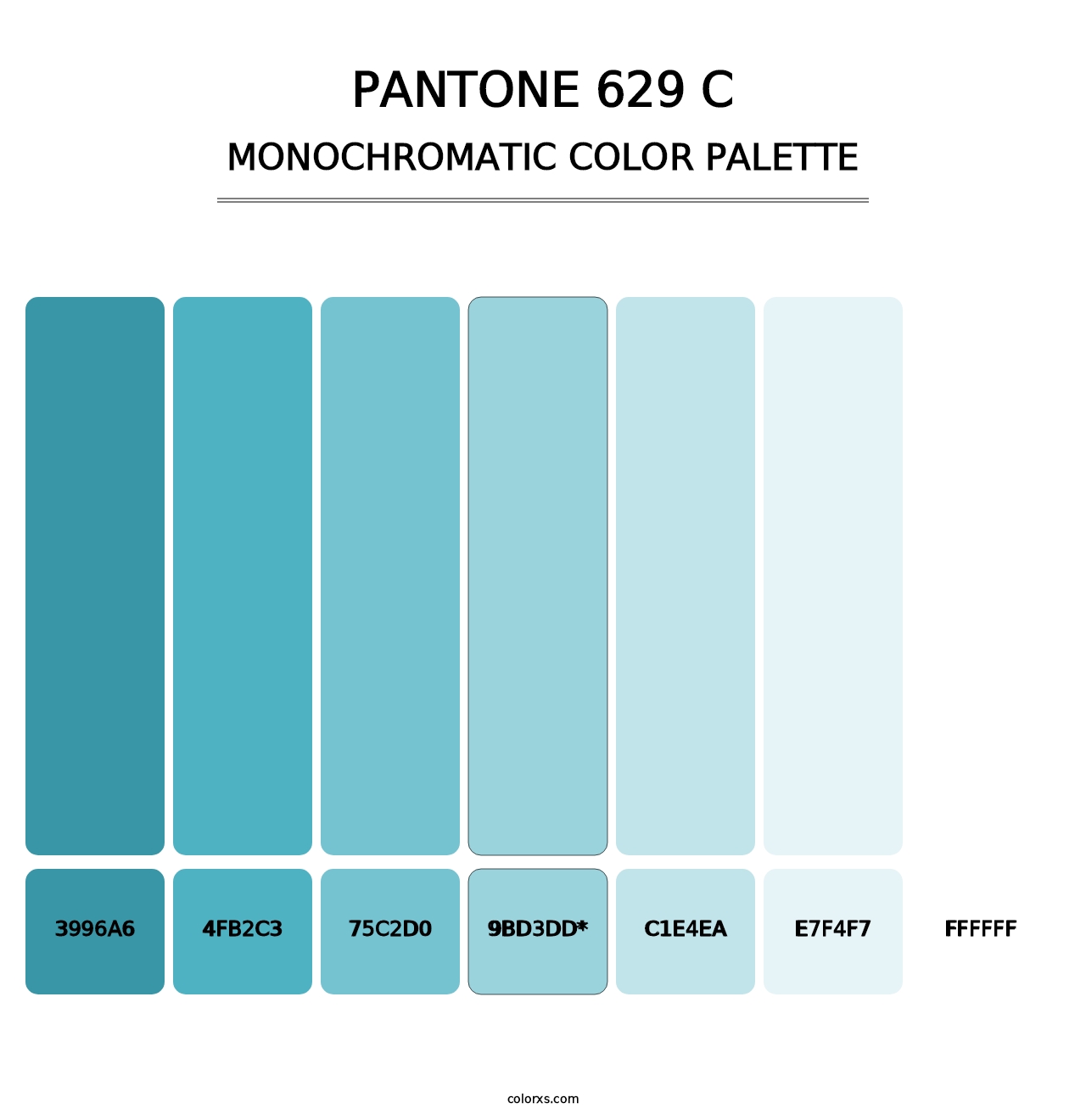 PANTONE 629 C - Monochromatic Color Palette