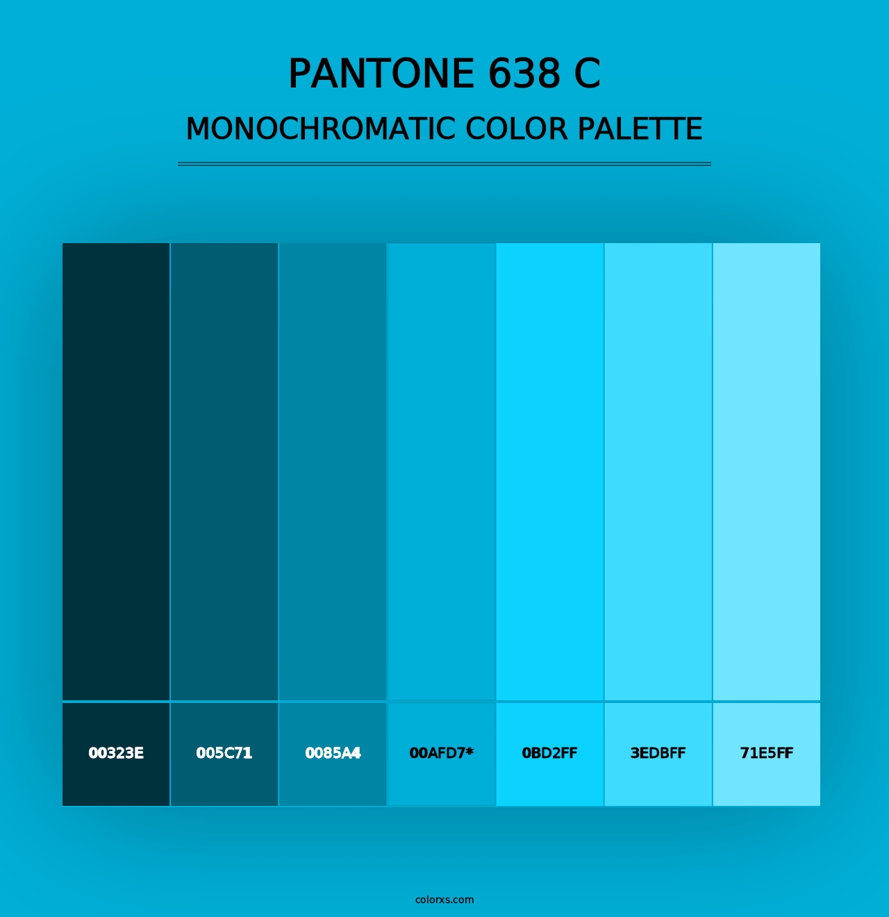 PANTONE 638 C - Monochromatic Color Palette