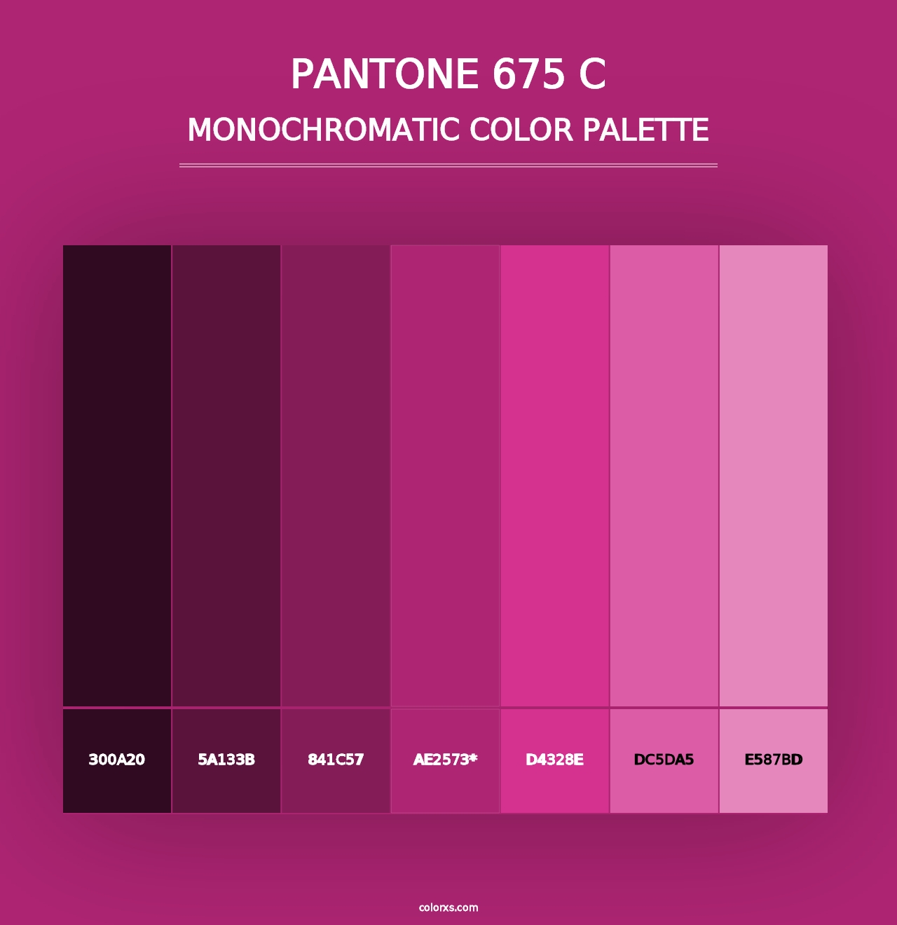 PANTONE 675 C - Monochromatic Color Palette