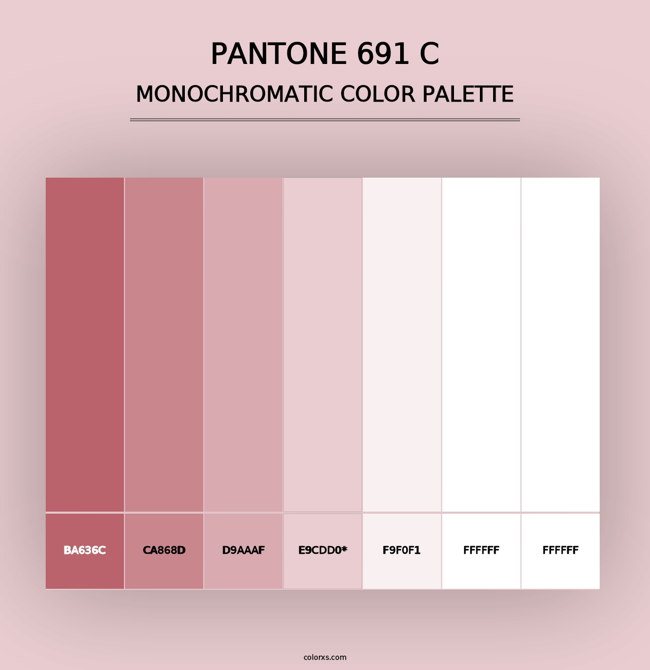 PANTONE 691 C - Monochromatic Color Palette