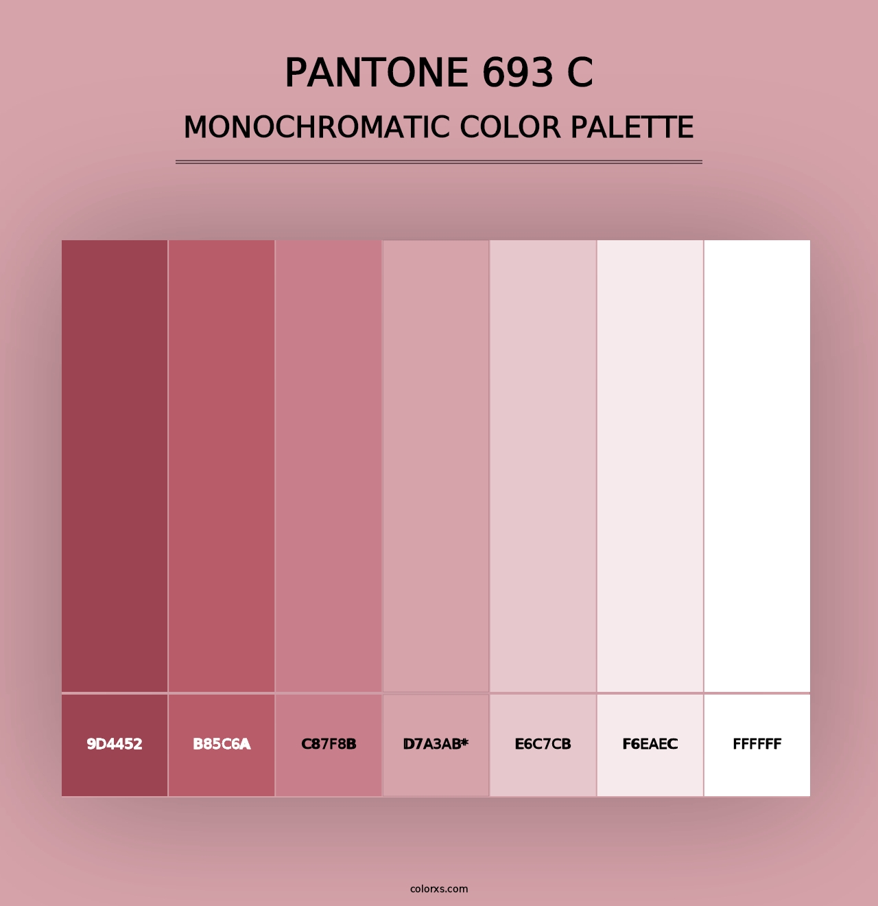 PANTONE 693 C - Monochromatic Color Palette