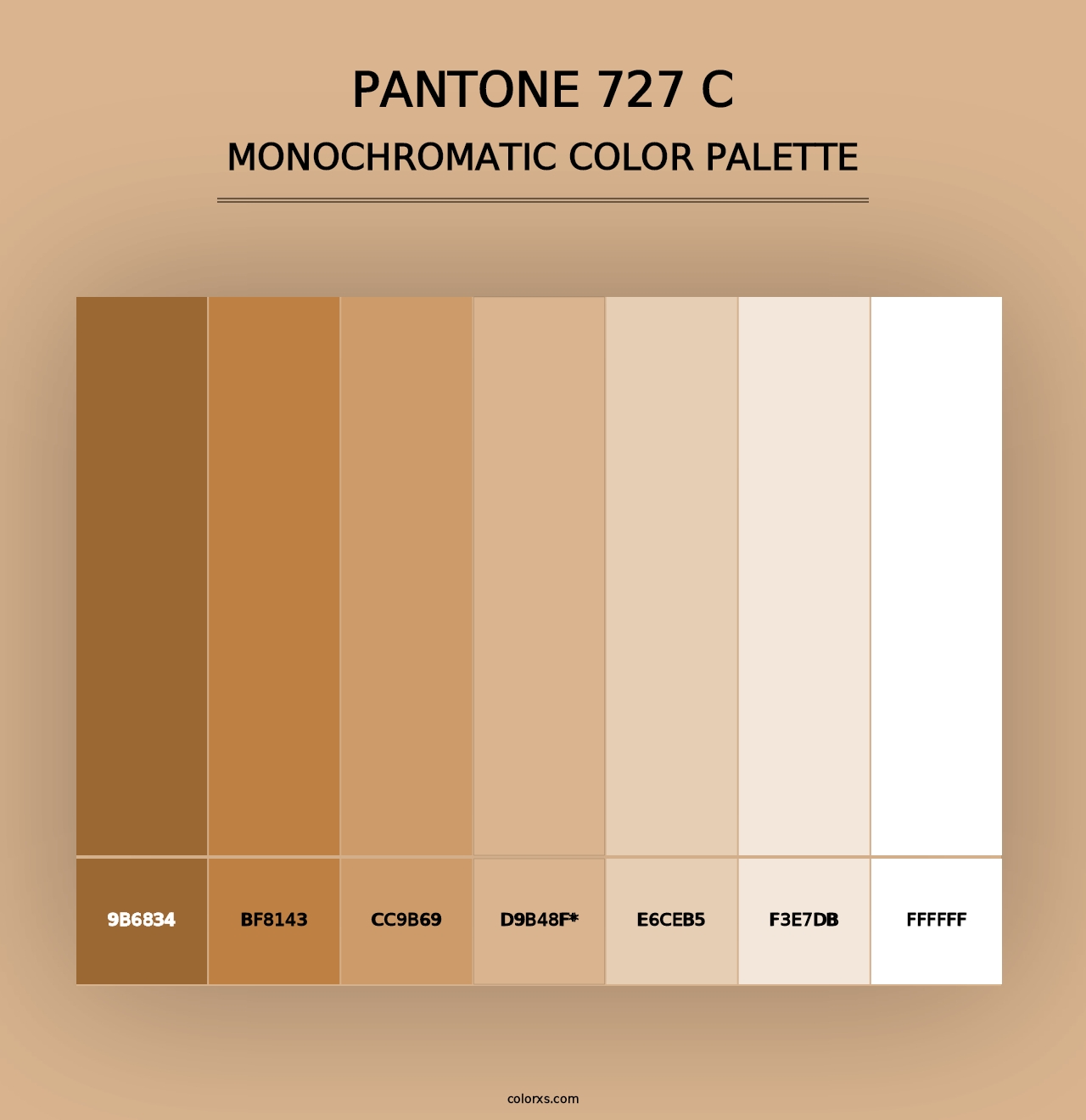 PANTONE 727 C - Monochromatic Color Palette