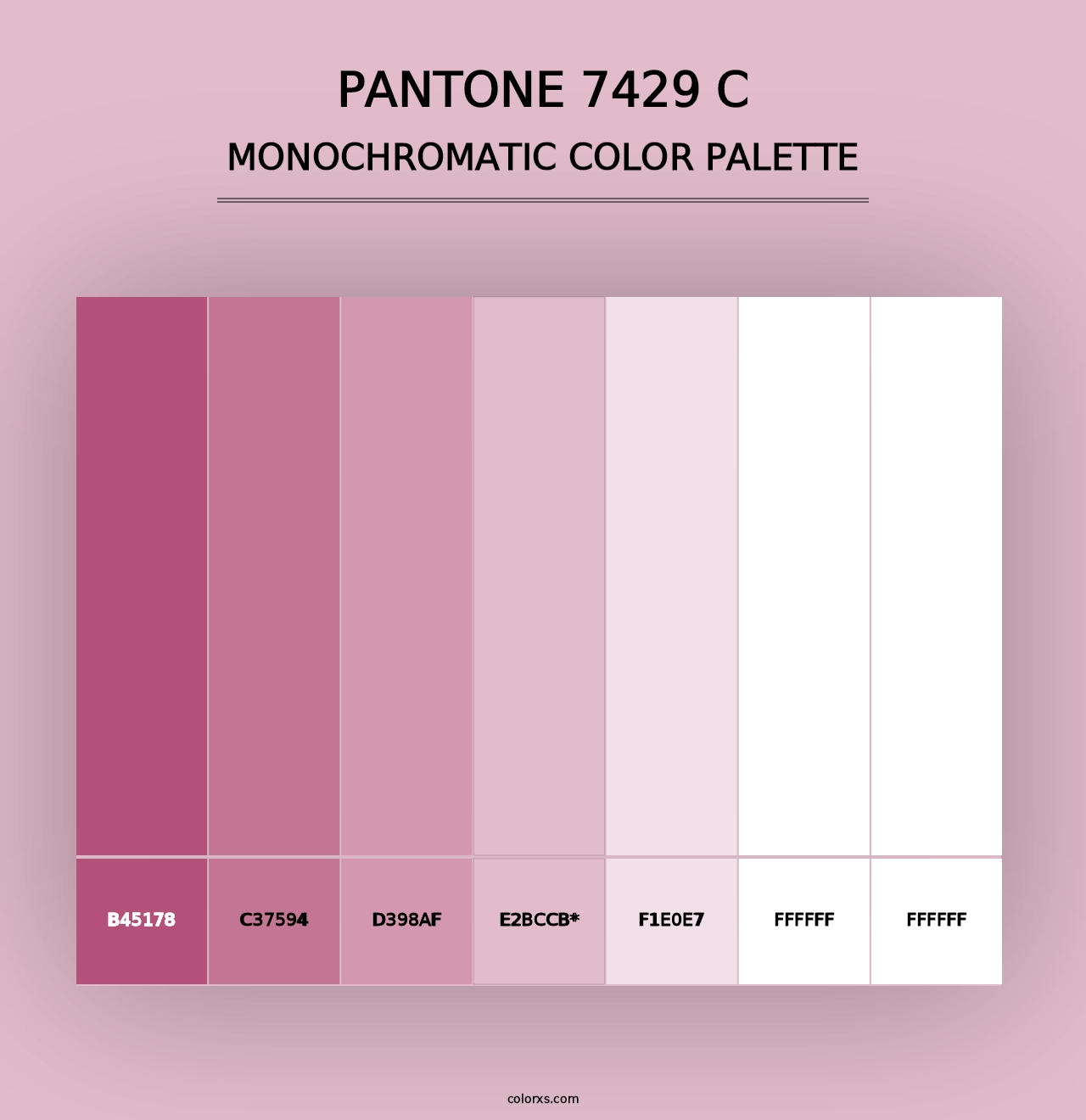 PANTONE 7429 C - Monochromatic Color Palette