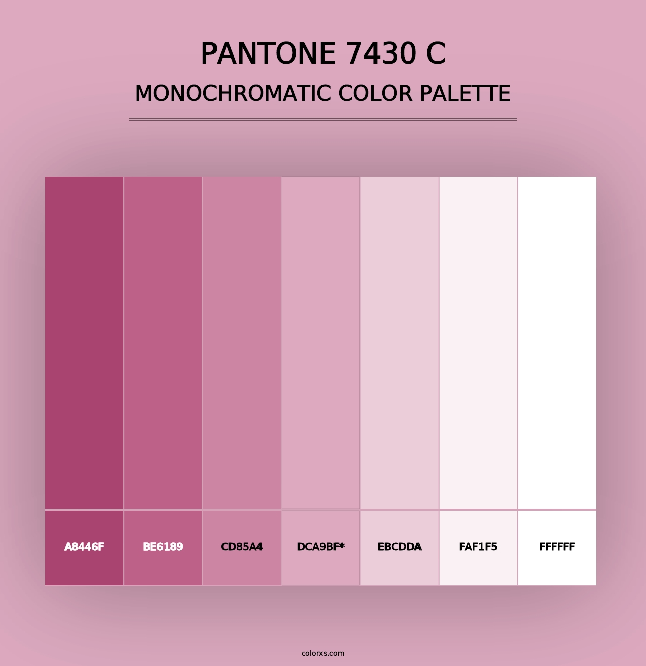 PANTONE 7430 C - Monochromatic Color Palette