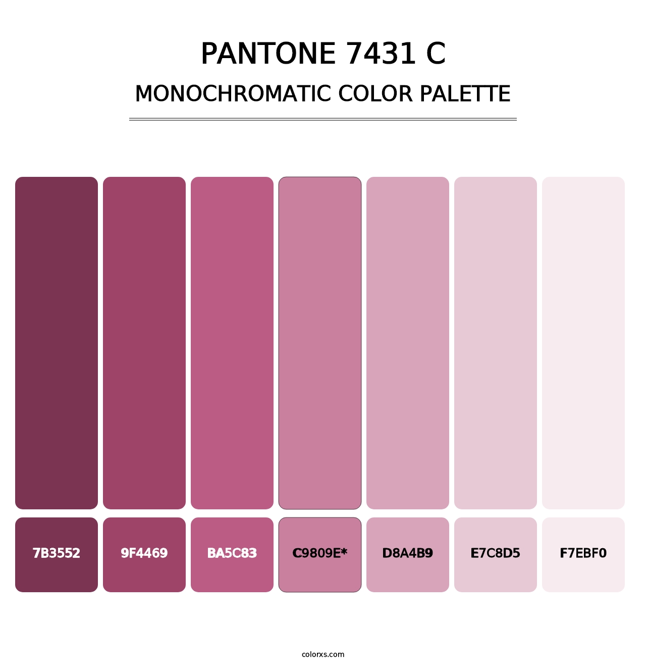 PANTONE 7431 C - Monochromatic Color Palette