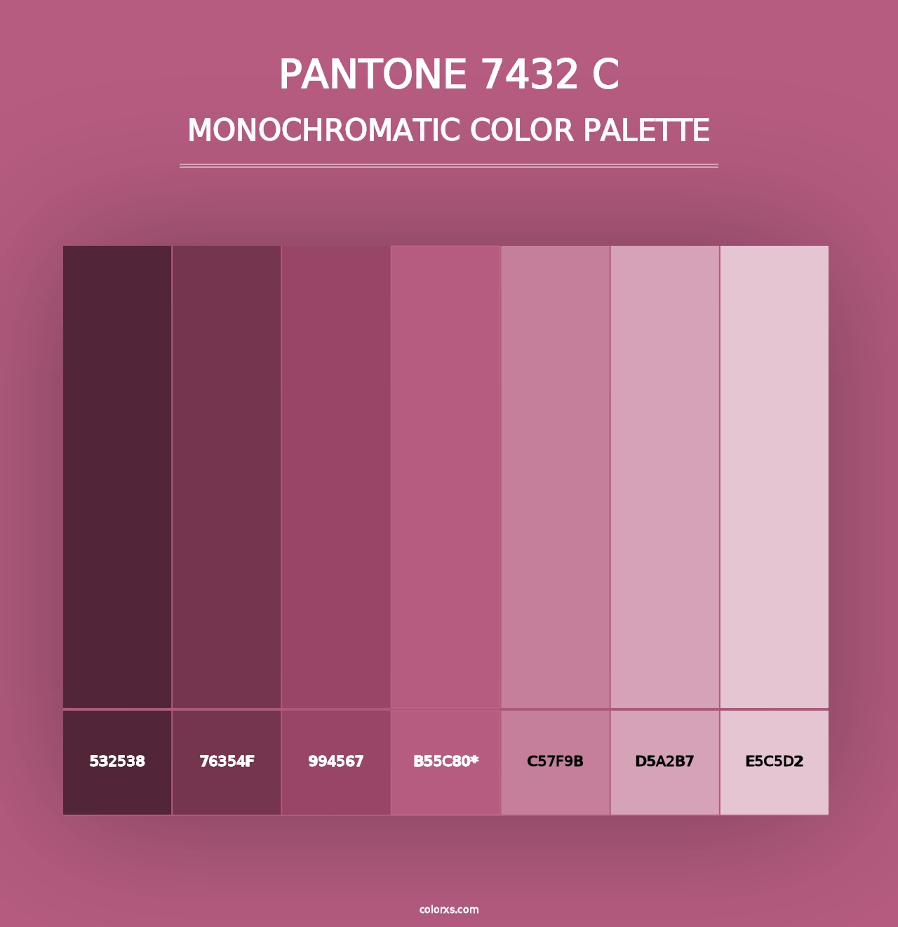 PANTONE 7432 C - Monochromatic Color Palette