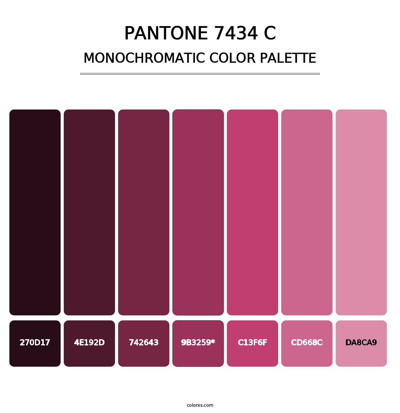 PANTONE 7434 C - Monochromatic Color Palette