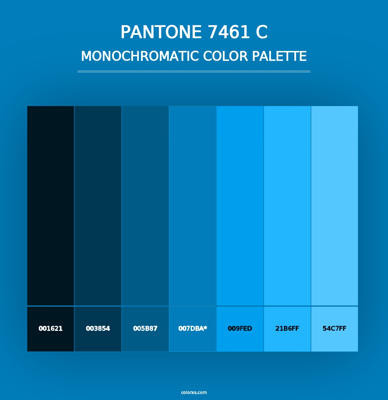 PANTONE 7461 C - Monochromatic Color Palette