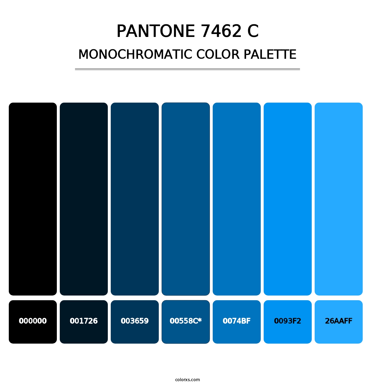 PANTONE 7462 C - Monochromatic Color Palette