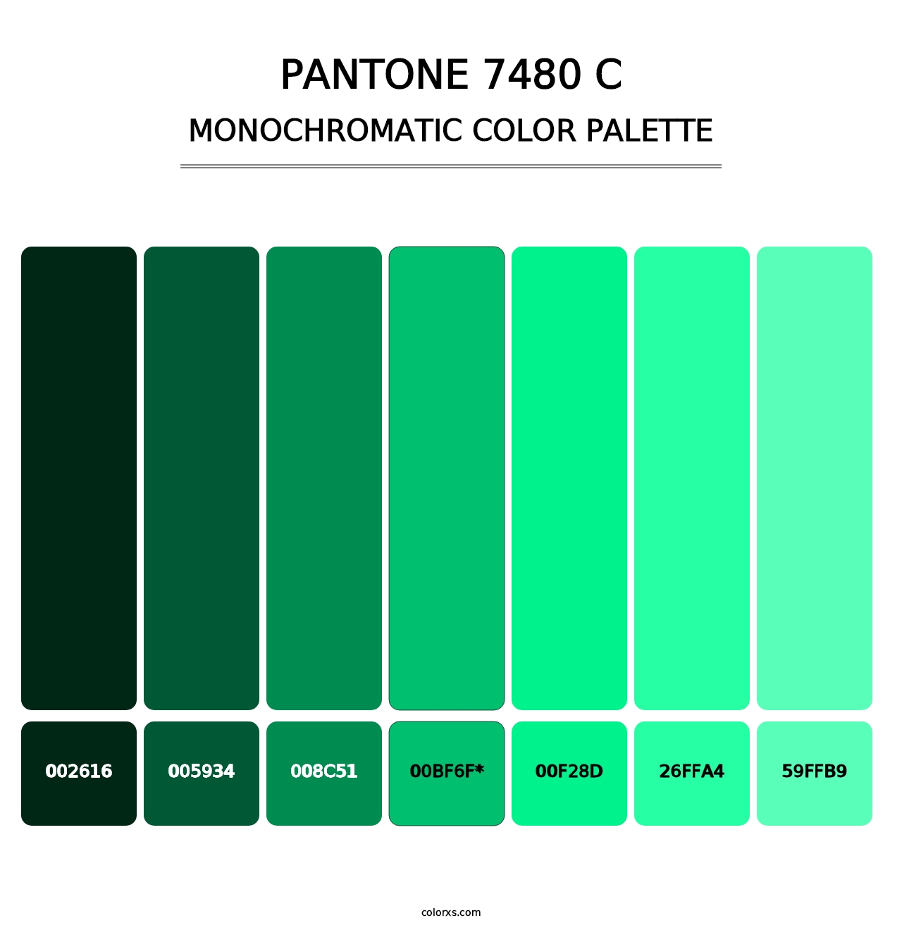 PANTONE 7480 C - Monochromatic Color Palette