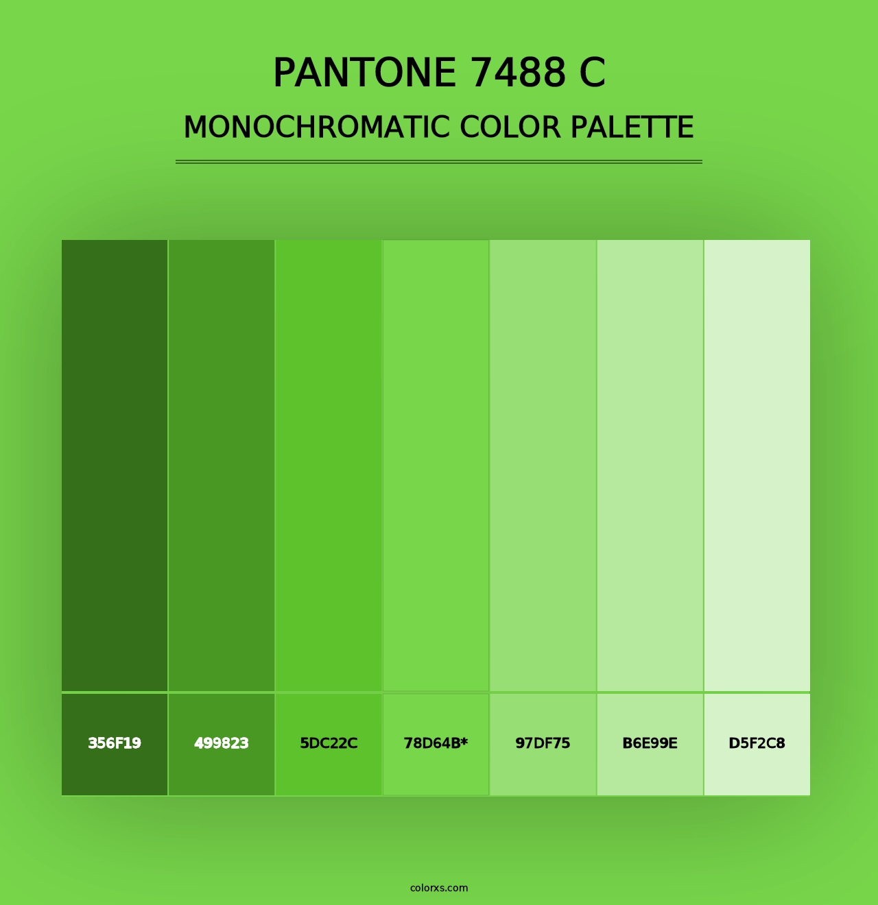 PANTONE 7488 C - Monochromatic Color Palette