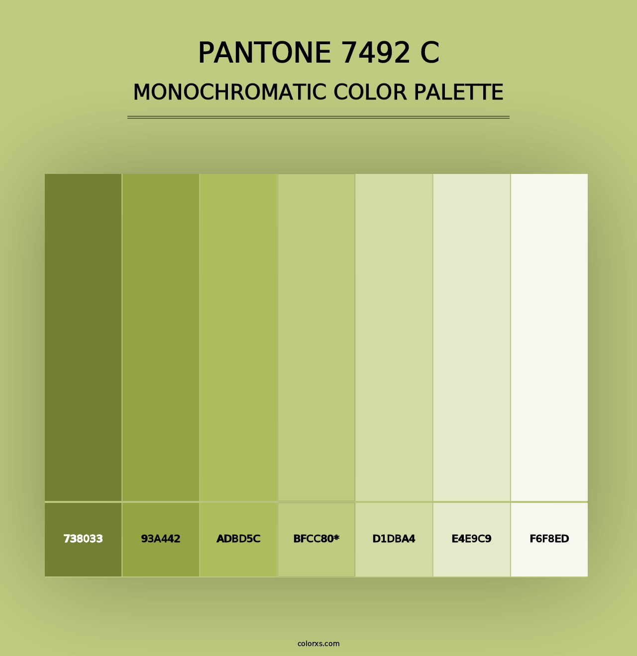 PANTONE 7492 C - Monochromatic Color Palette