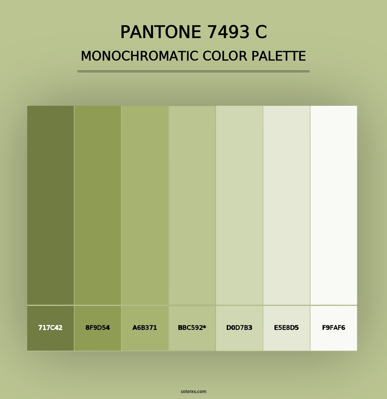 PANTONE 7493 C - Monochromatic Color Palette