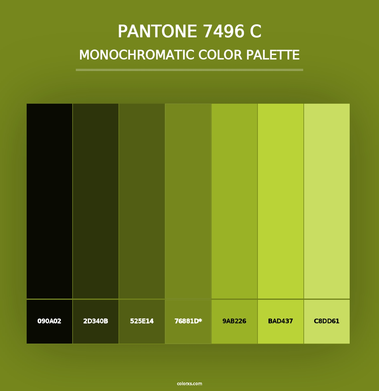 PANTONE 7496 C - Monochromatic Color Palette