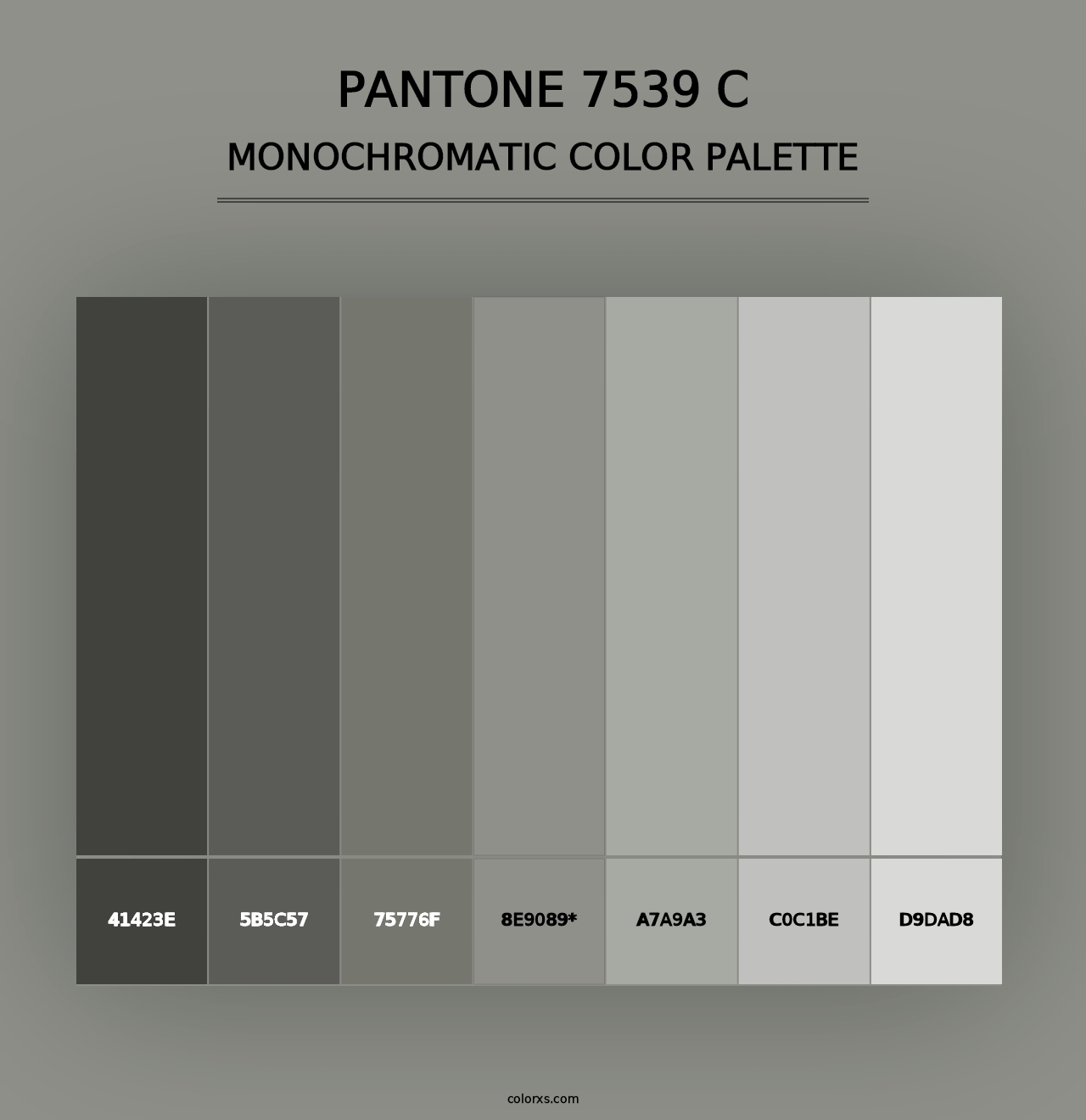 PANTONE 7539 C - Monochromatic Color Palette