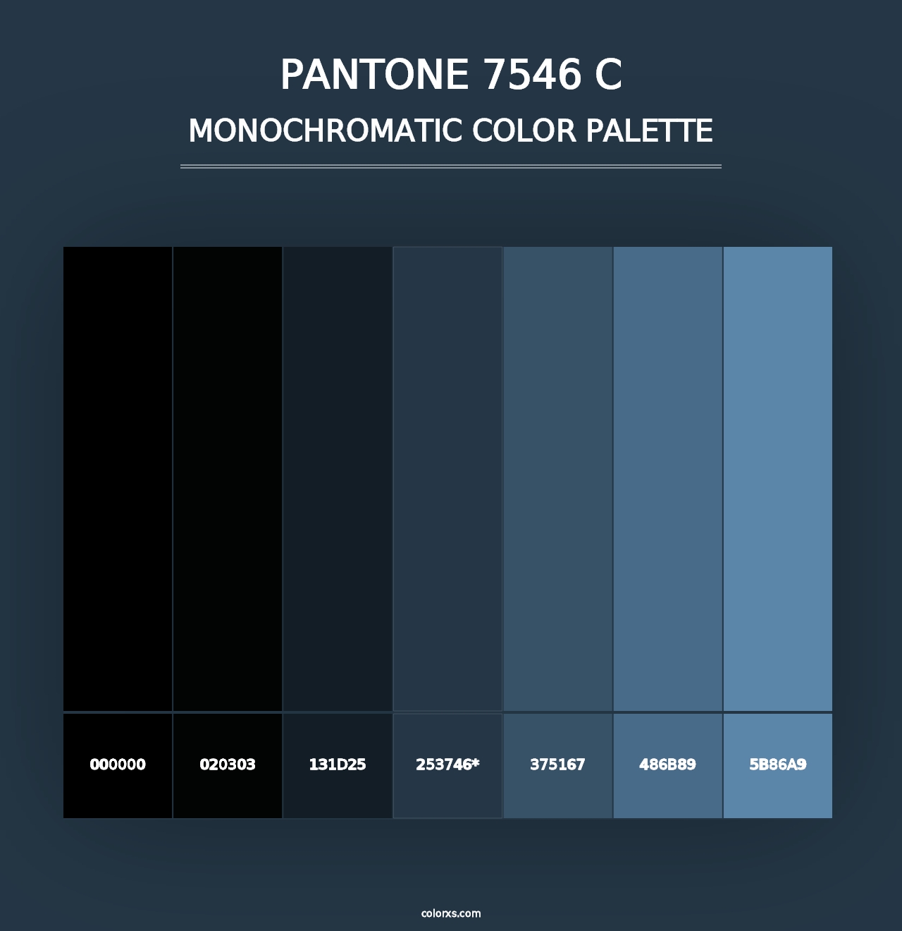 PANTONE 7546 C - Monochromatic Color Palette