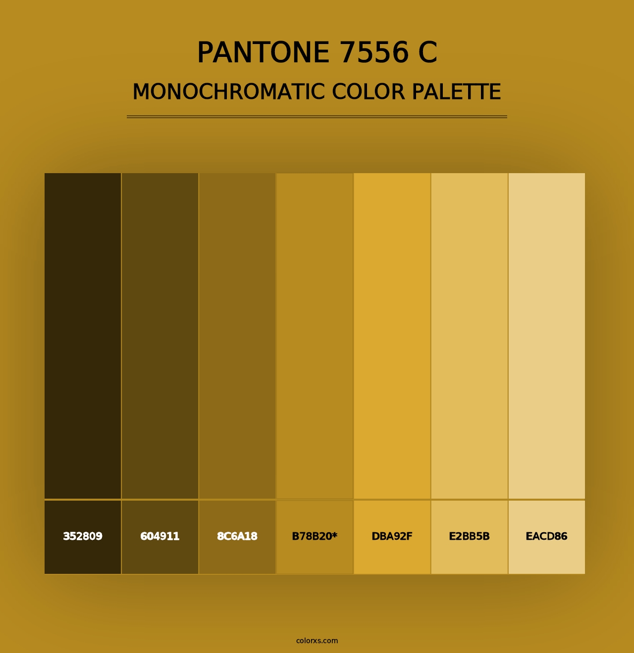 PANTONE 7556 C - Monochromatic Color Palette